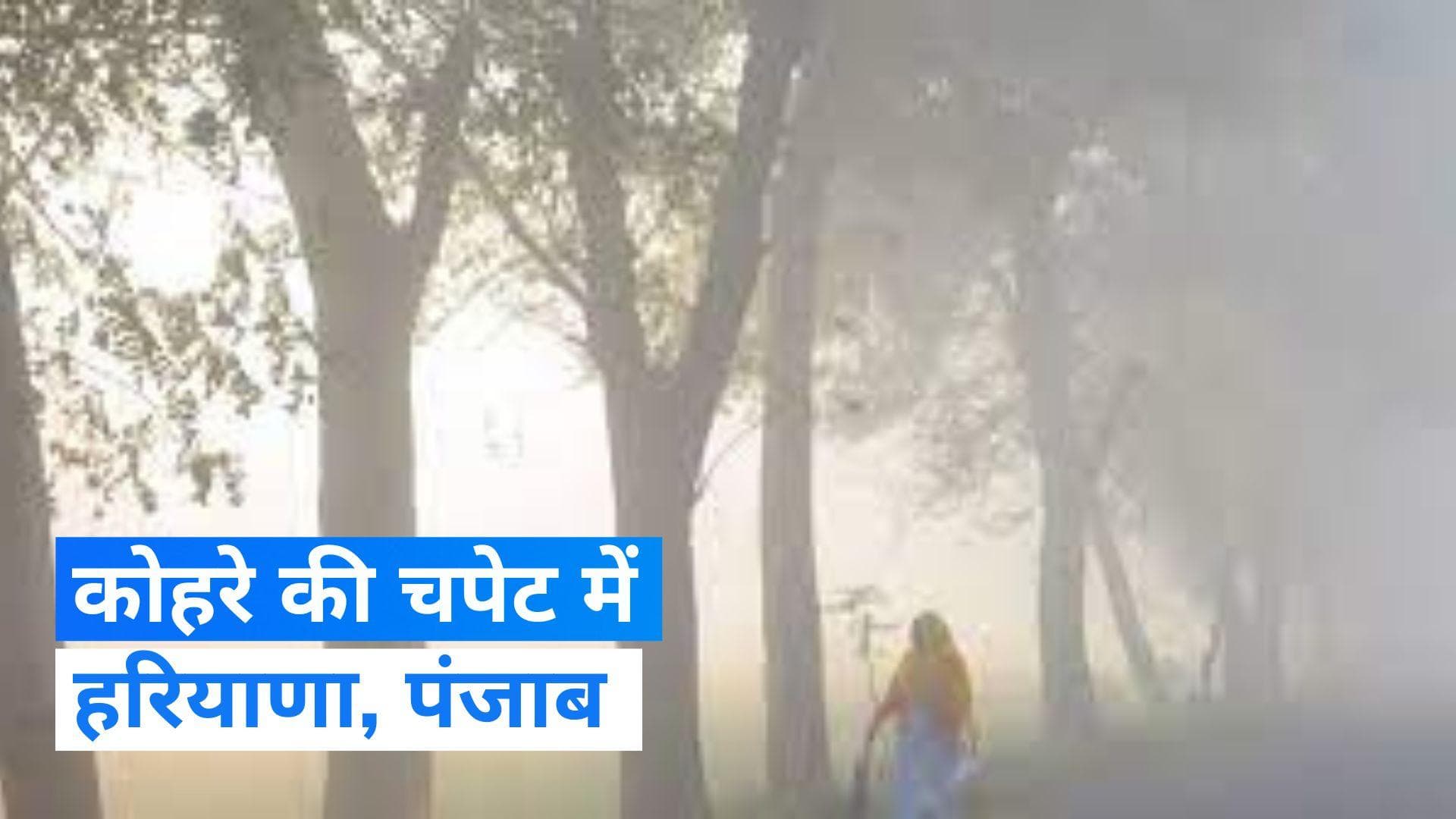 Punjab, Haryana में घना कोहरा, कई जगह जीरो विजिबिलिटी दर्ज