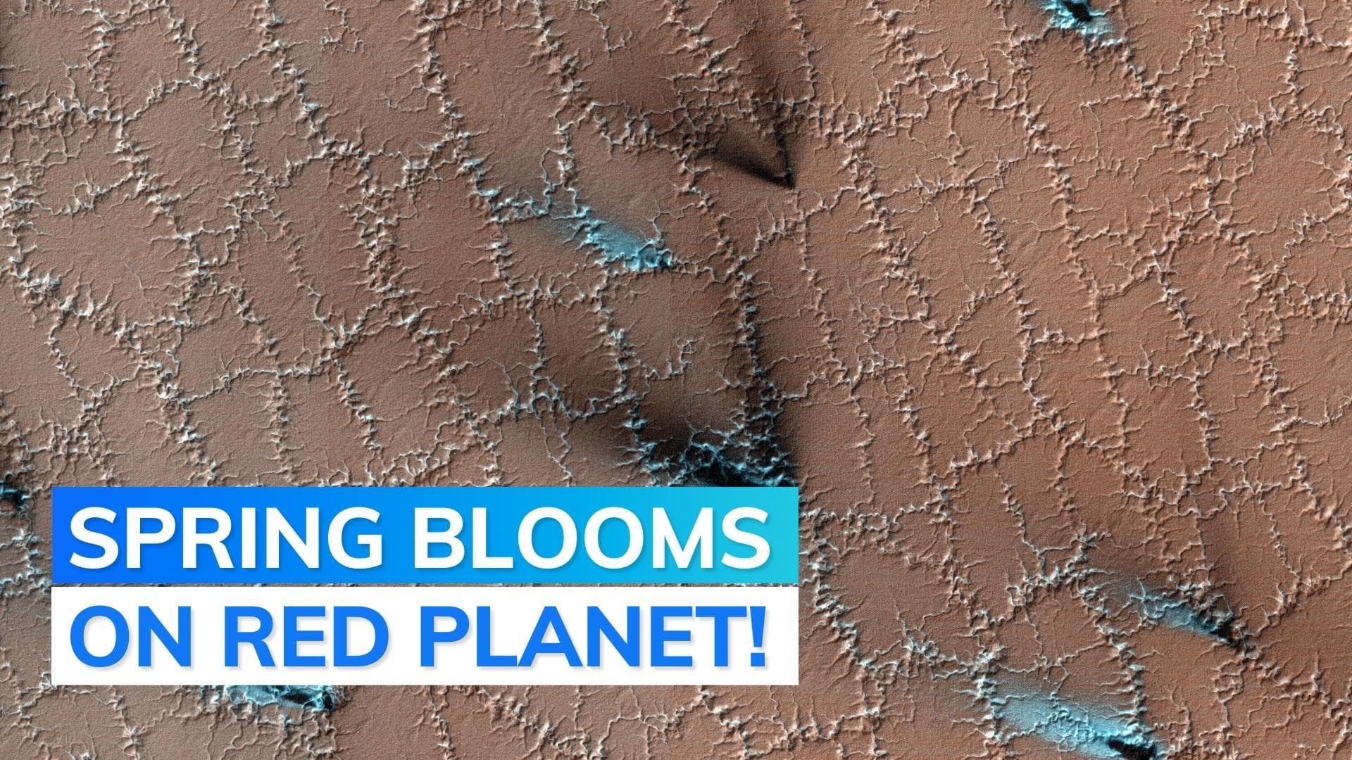 Springtime bloom on the Red Planet is slightly different than Earth | Watch 