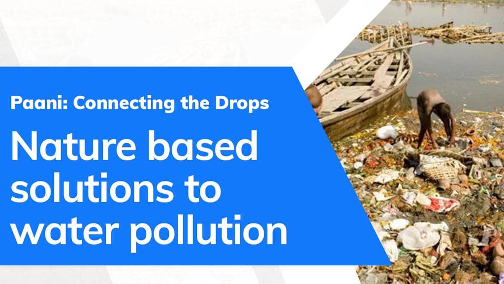 Nature based solutions: the answer to water pollution?