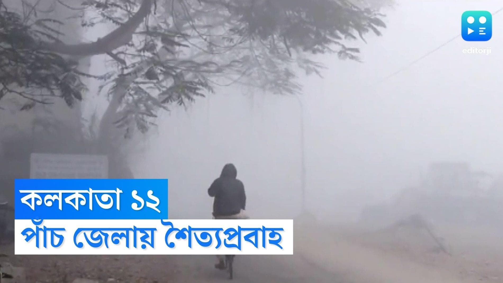 West Bengal Weather Update : রবিবারও ১২ ডিগ্রির ঘরে তাপমাত্রা, ৫ জেলায় শৈত্যপ্রবাহের সতর্কতা