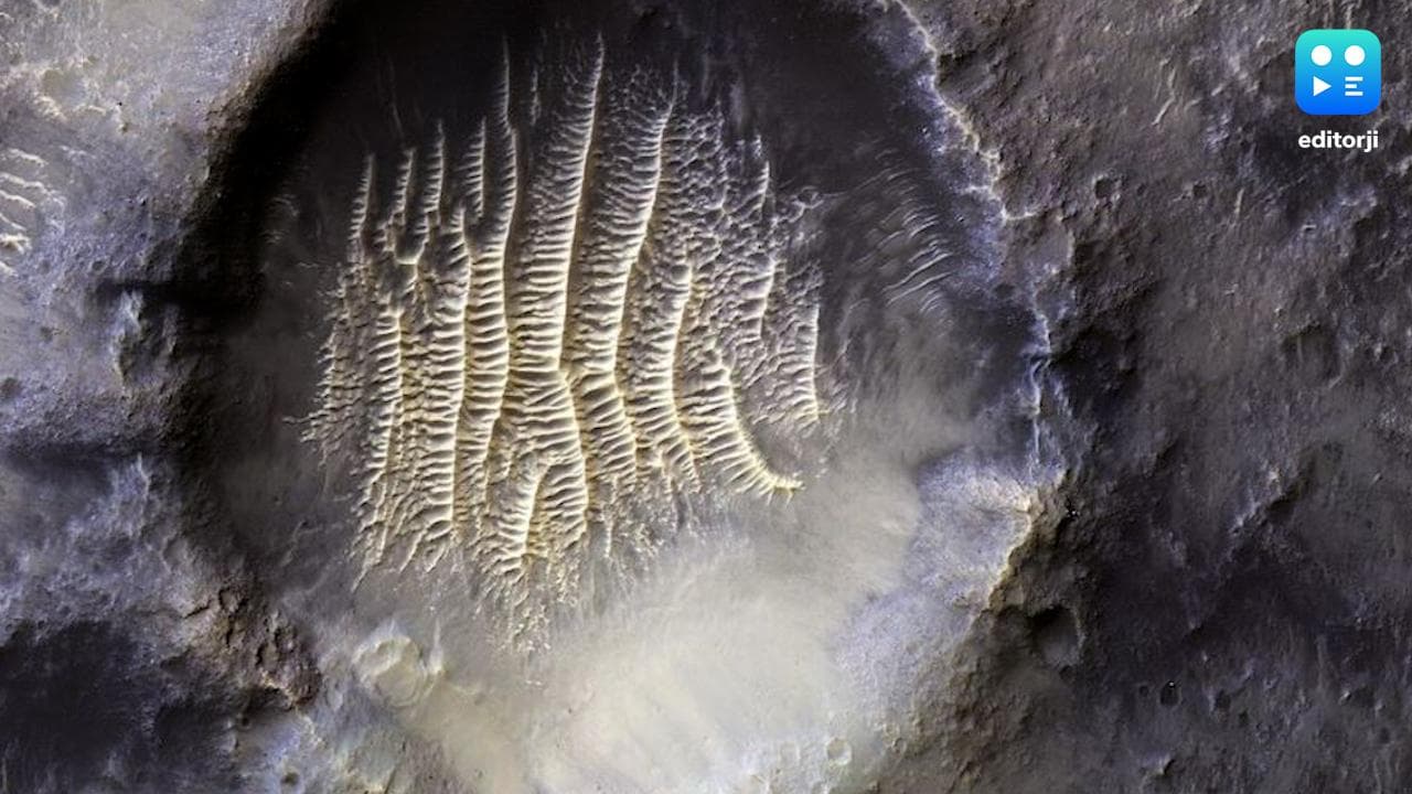 NASA share Mars Pic : মঙ্গলের মাটিতে ভিন গ্রহের বাসিন্দার পায়ের ছাপ ! লাল গ্রহের ছবি শেয়ার NASA-র