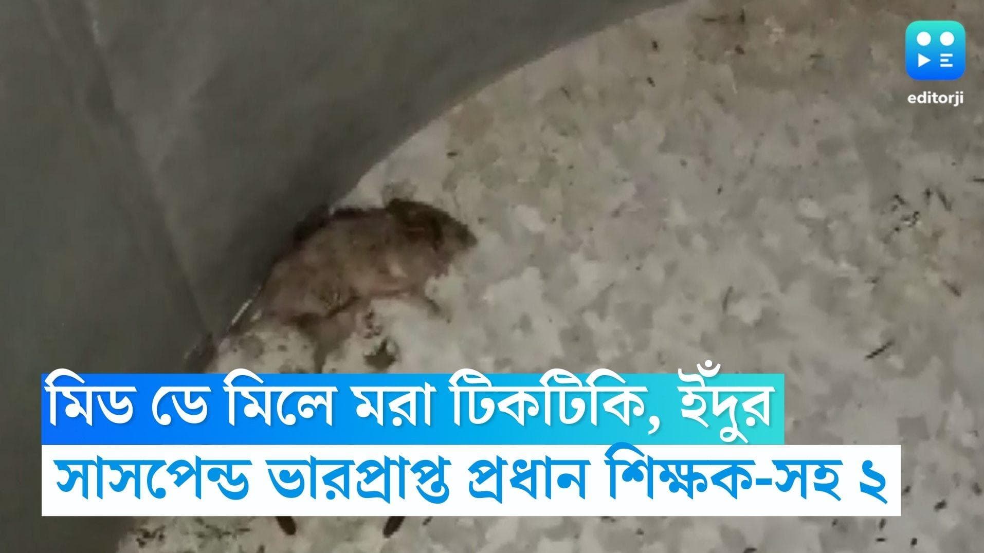 Mid Day Meal: মিড ডে মিলে মরা টিকটিকি, ইঁদুর, সাসপেন্ড ভারপ্রাপ্ত প্রধান শিক্ষক ও সাব ইন্সপেক্টর