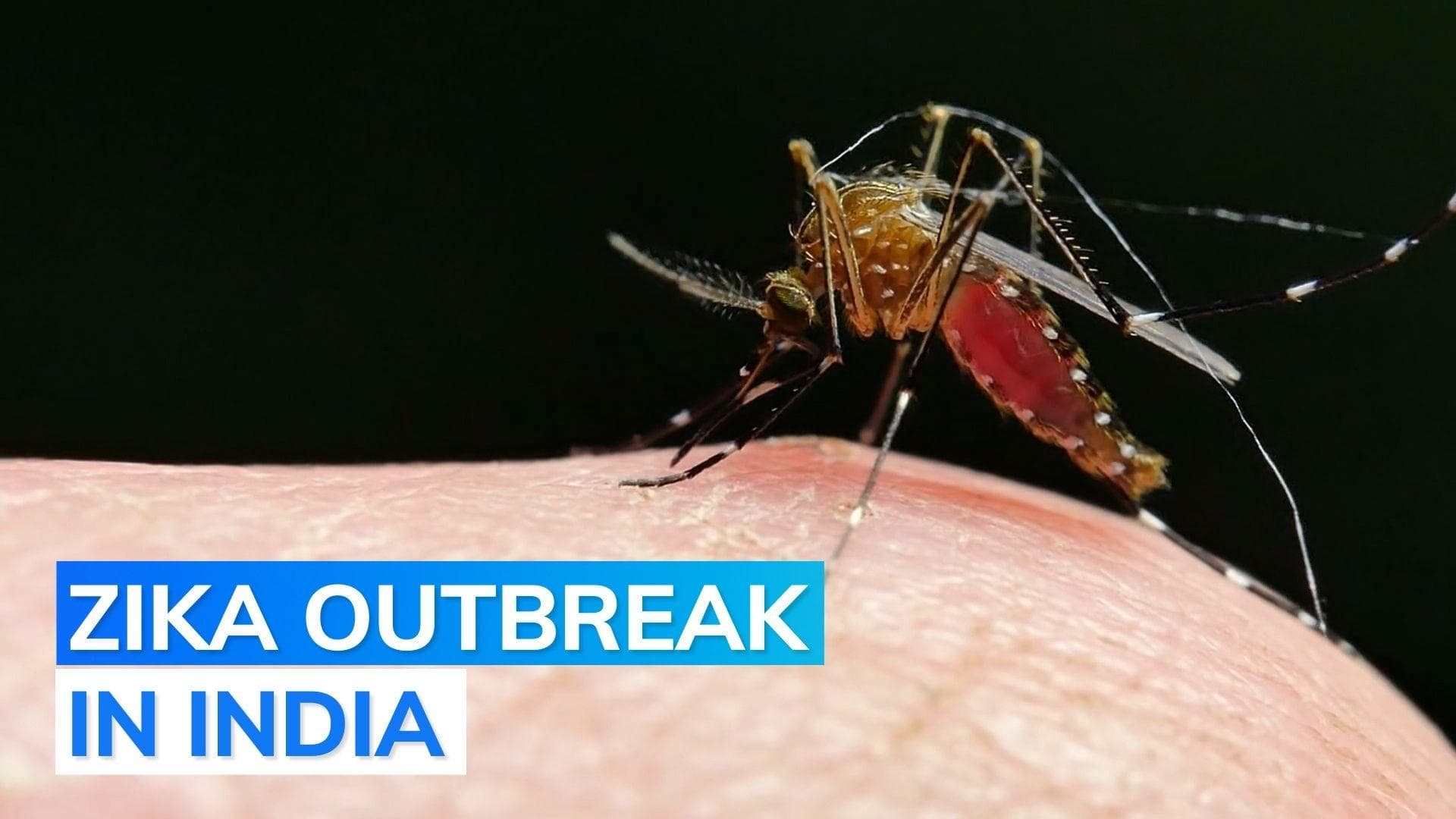 After Maharashtra, Karnataka reports first case of Zika virus