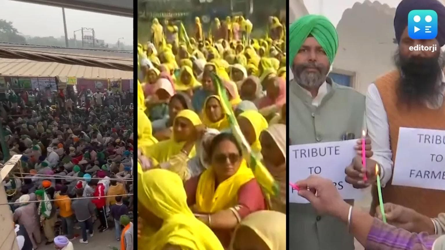 Farmer Protest: आंदोलन के एक साल होने पर महापंचायत, टीकरी, सिंघु और गाजीपुर में जुटे लाखों किसान