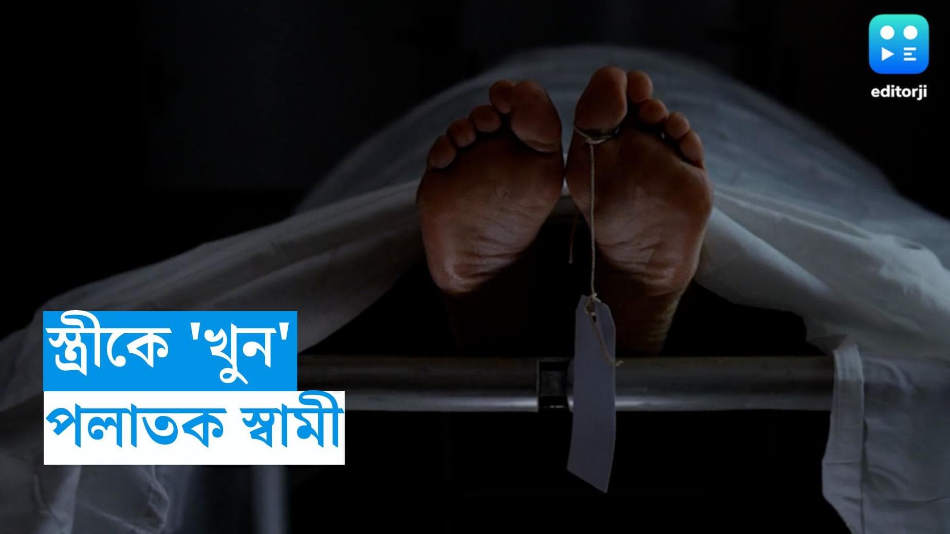 Baruipur Murder: মদ খাওয়ার টাকা চেয়েও পায়নি! স্ত্রীকে খুন করে পুঁতে দেওয়ার অভিযোগ স্বামীর বিরুদ্ধে