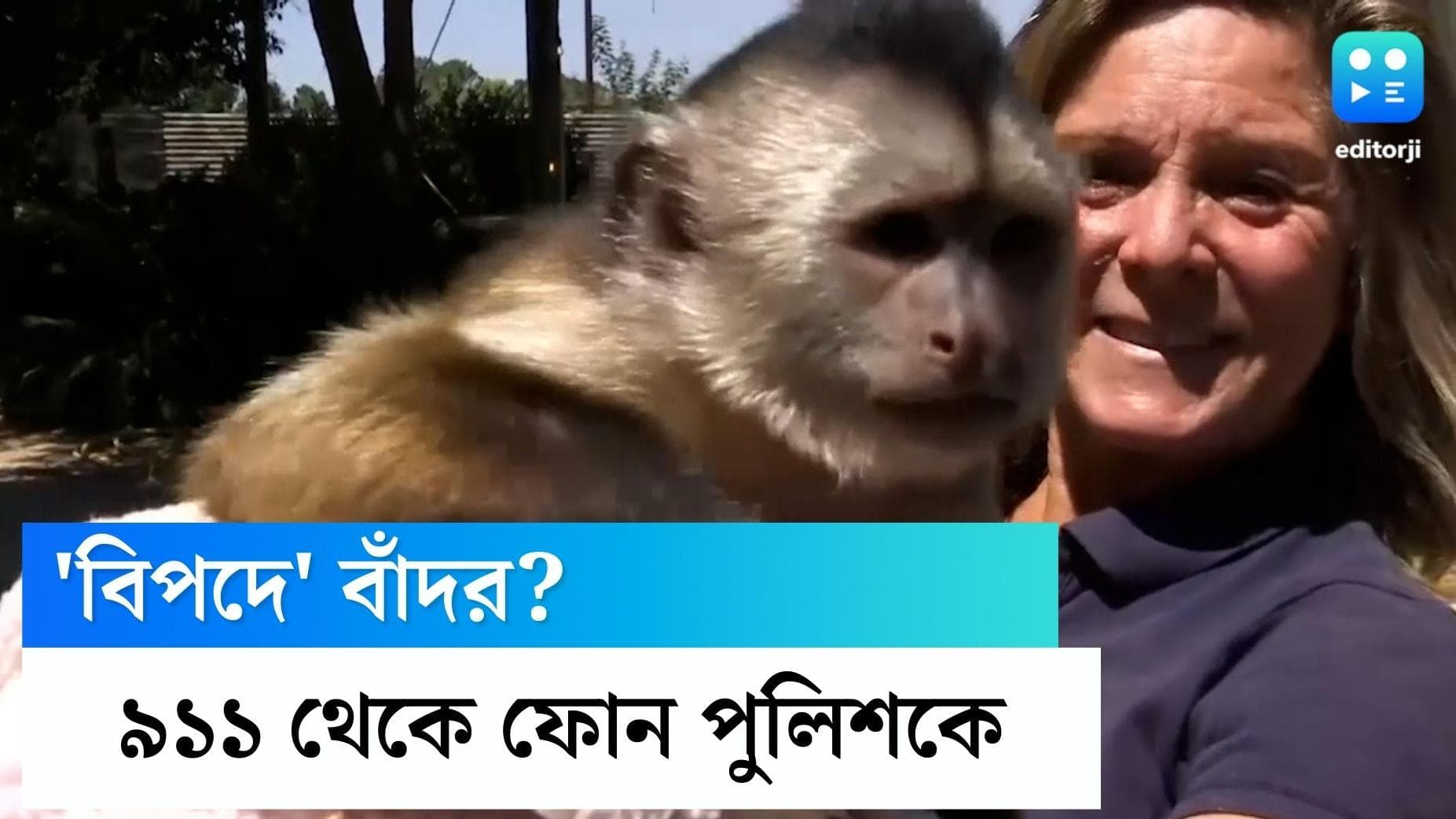Monkey dialled 911: চিড়িয়াখানা থেকে ৯১১ ডায়াল করে ফোন করে বসল এক বাঁদর, কী হল তারপর?