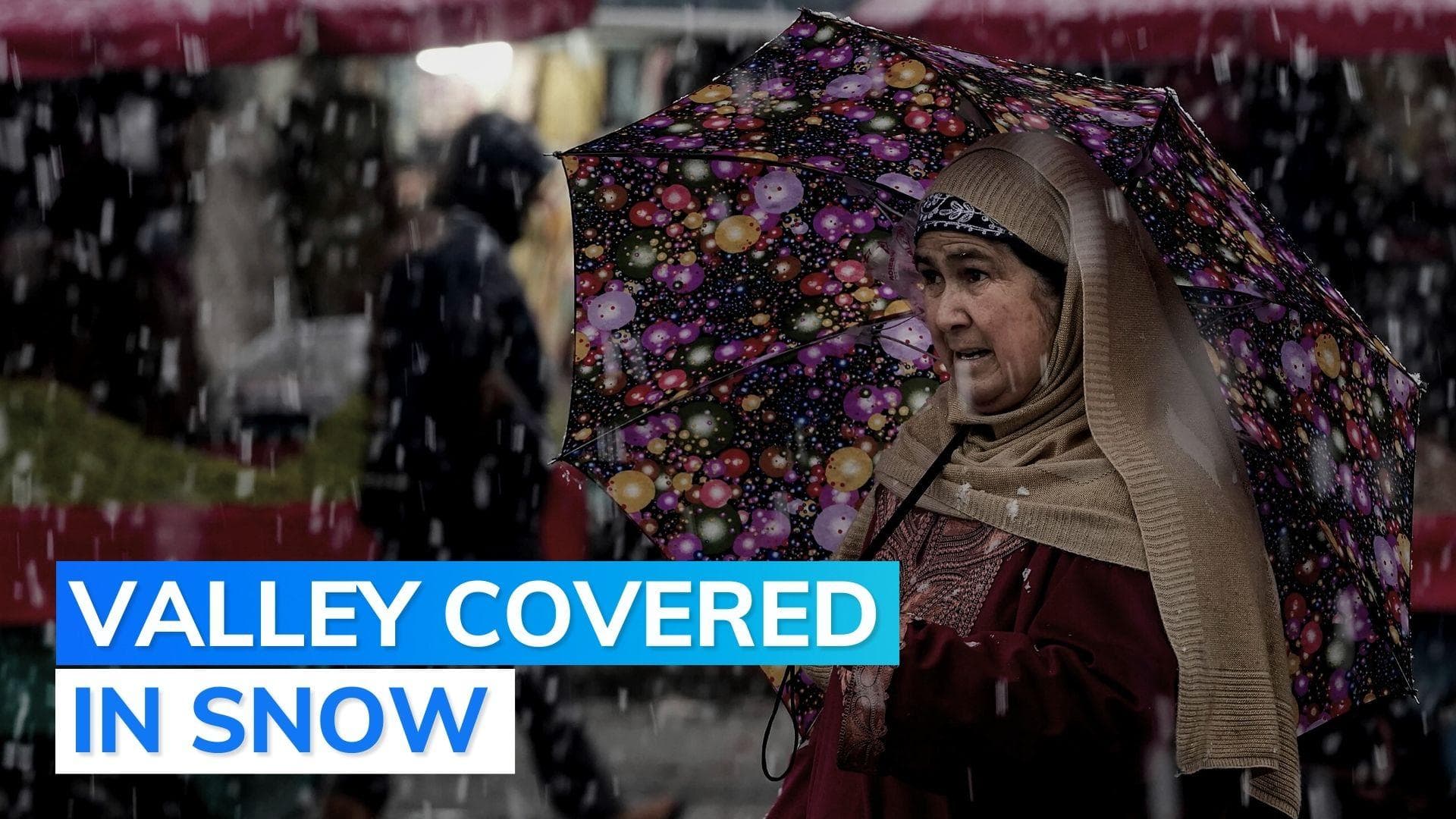 Watch: fresh snowfall adds to winter chill in Kashmir valley