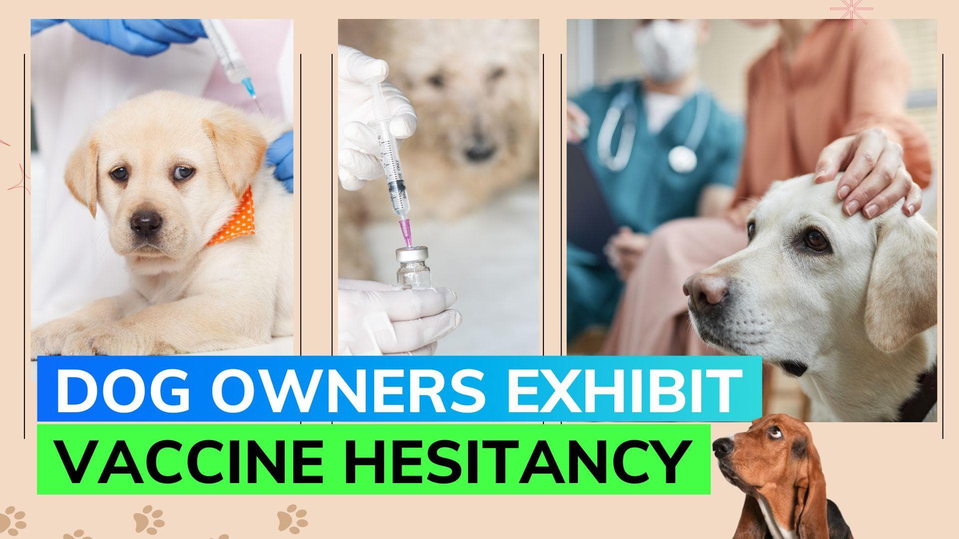 Study finds over half of US dog owners hesitate to vaccinate their pets; know the reasons