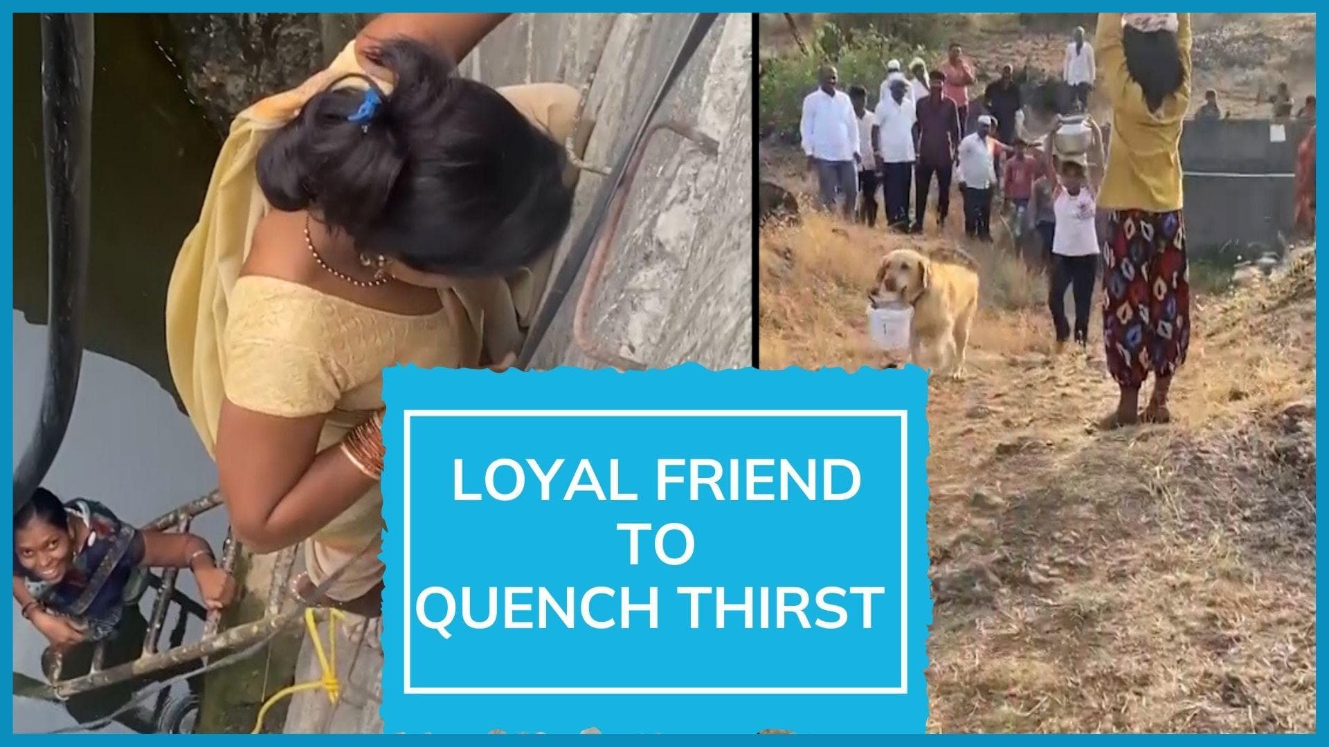 On cam: women descend the well, dog ferries filled bucket as water scarcity hits Nashik village