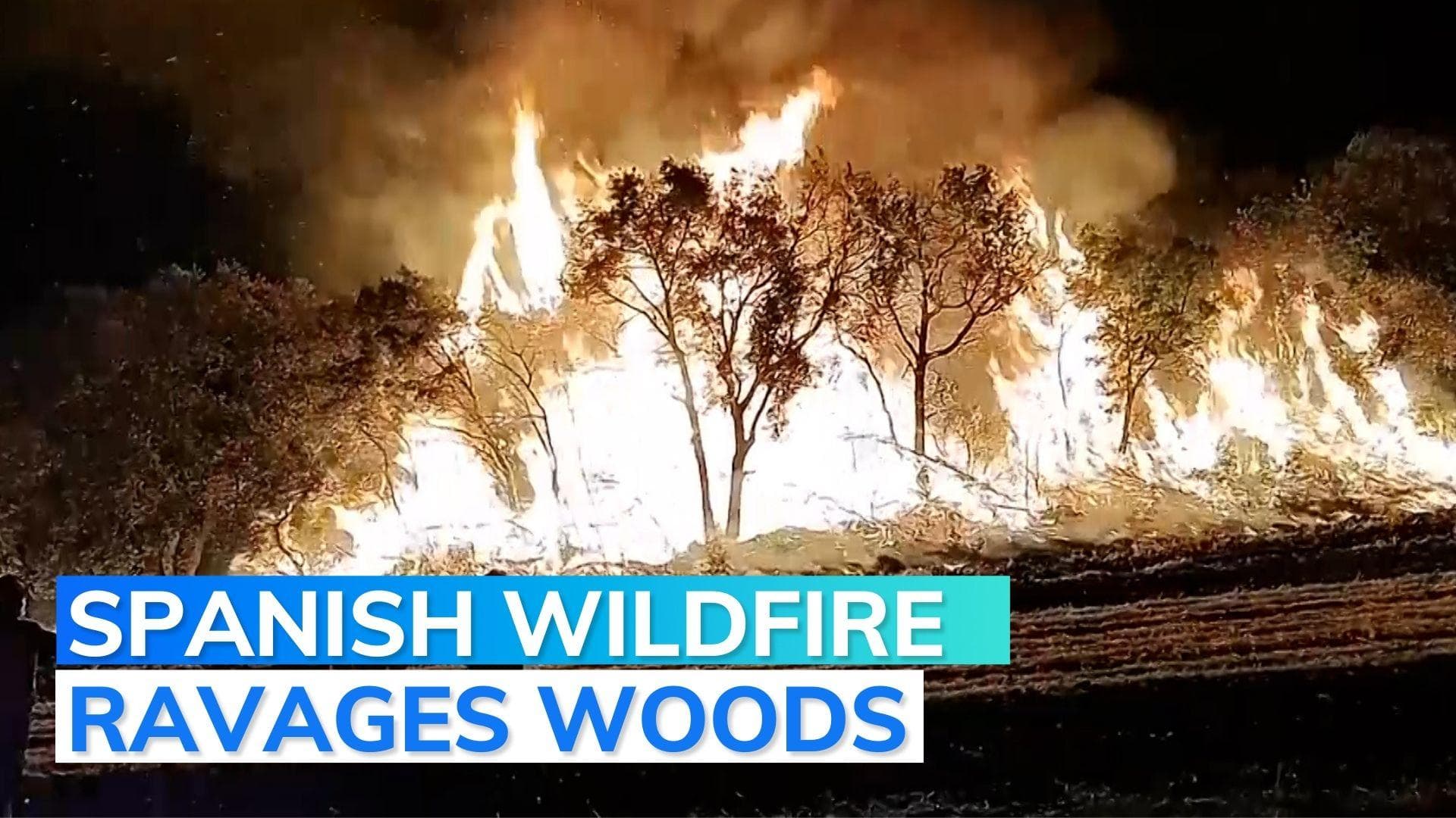 Fires rage through vast woodlands in northern Spain | Watch