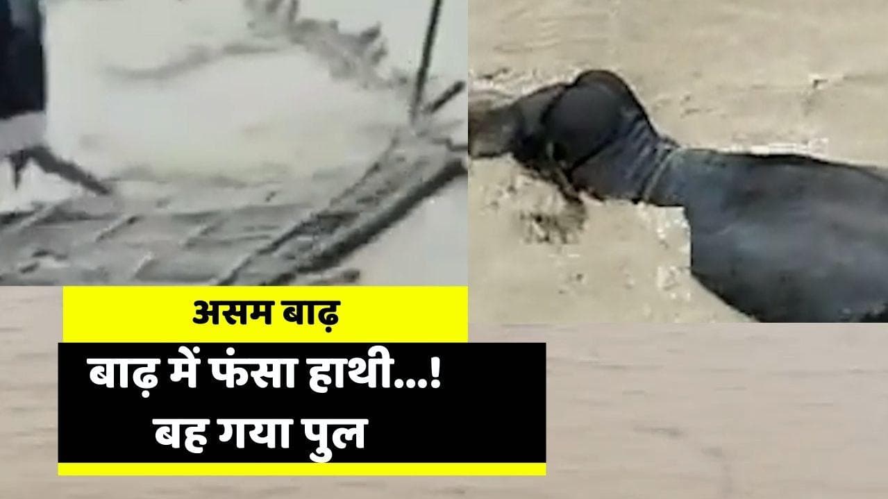 Assam flood: डरावनी है असम की तस्वीरें...! बाढ़ से चार लाख से अधिक लोग प्रभावित 