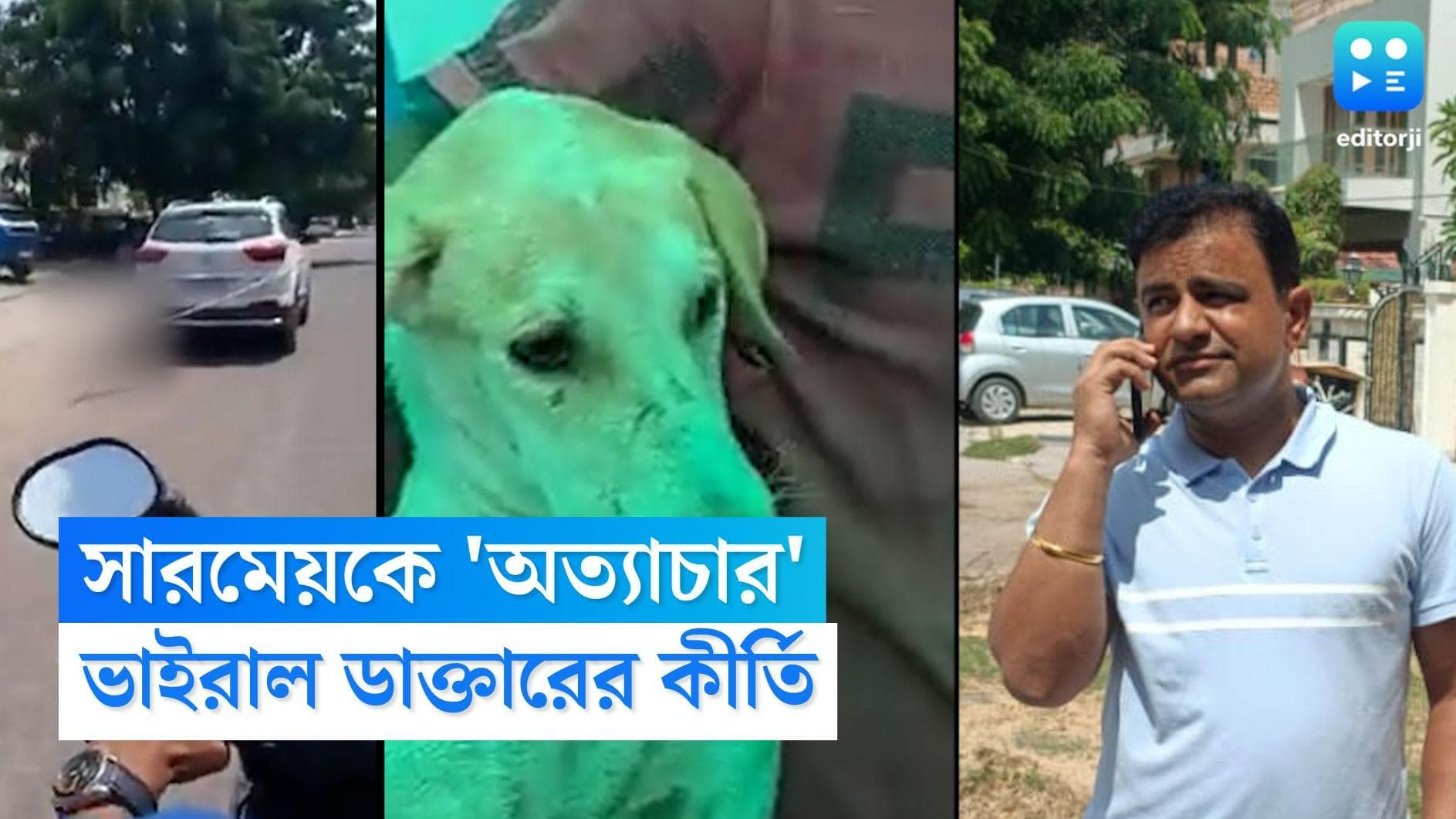 Rajasthan Dog : গলায় চেন বাঁধা, চলন্ত গাড়ির সঙ্গে ছুটছে কুকুর, রাজস্থানের এক চিকিৎসকের কীর্তি ভাইরাল