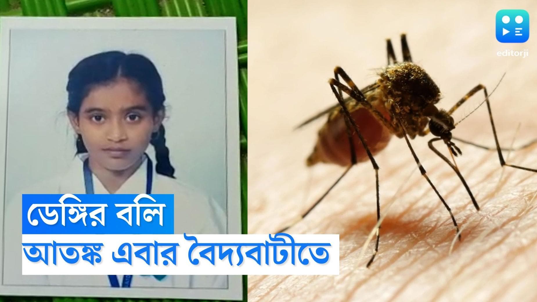 Dengue Death: হুগলিতে মৃত্যু নাবালিকার, ডেঙ্গি নিয়ন্ত্রণে পুরসভার ভূমিকা নিয়ে অভিযোগ স্থানীয়দের 
