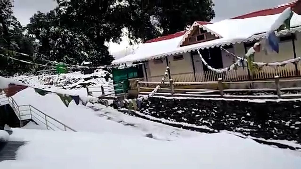 Snowfall in Kalimpong: তুষারপাত কালিম্পংয়ে, বরফের চাদরে লাভা ও ঋষপও