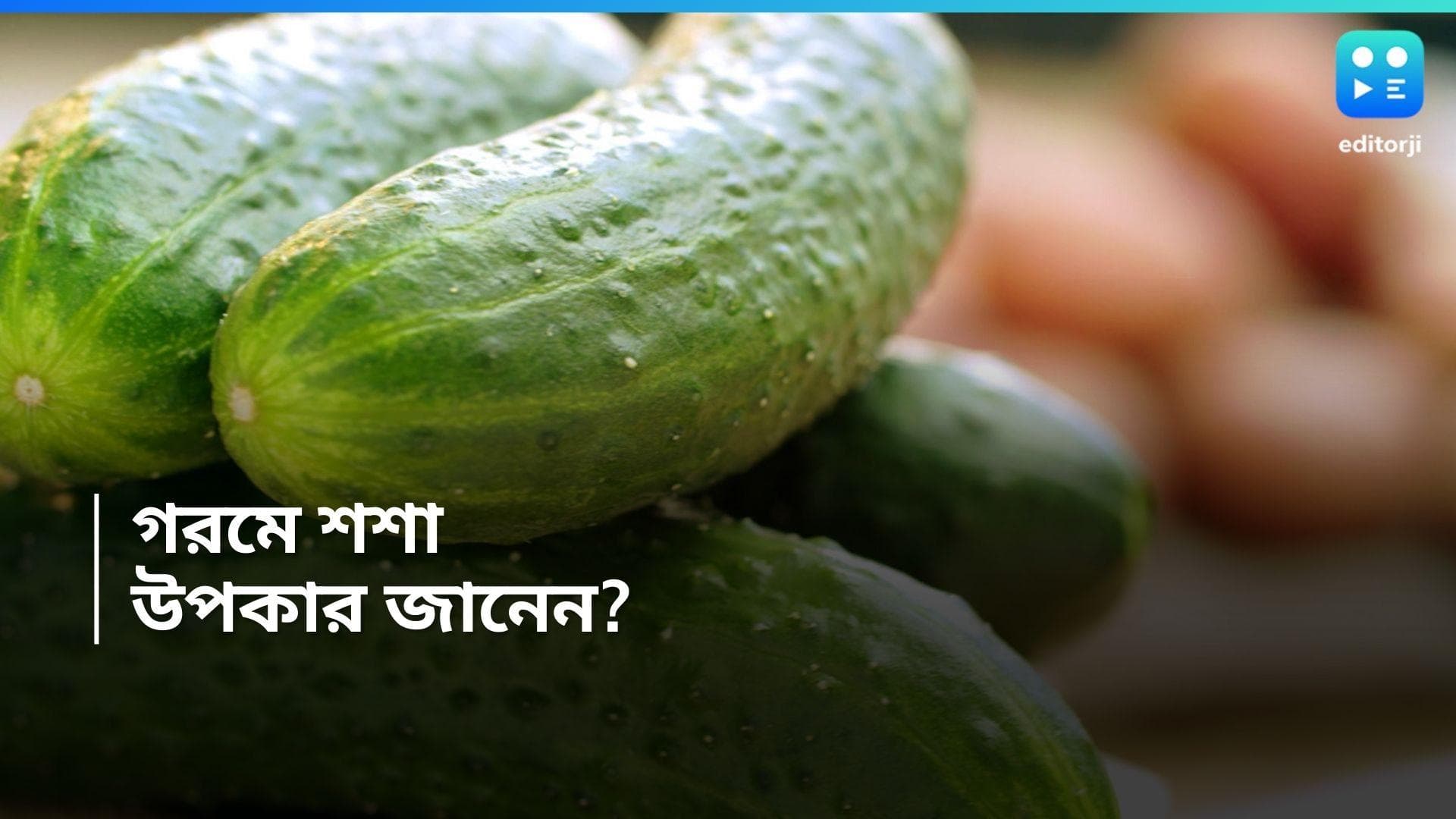 Cucumber Benefit: গরমে আরাম! রাত দিন সঙ্গী হোক শশা, জেনে নিন এই ফলের নানা উপকার