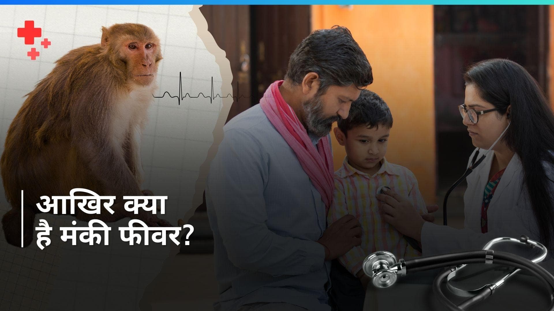 Monkey Fever: कर्नाटक में फैला मंकी फीवर, देखें कैसे होता है ये बुखार और क्या हैं इसके लक्षण व बचाव 