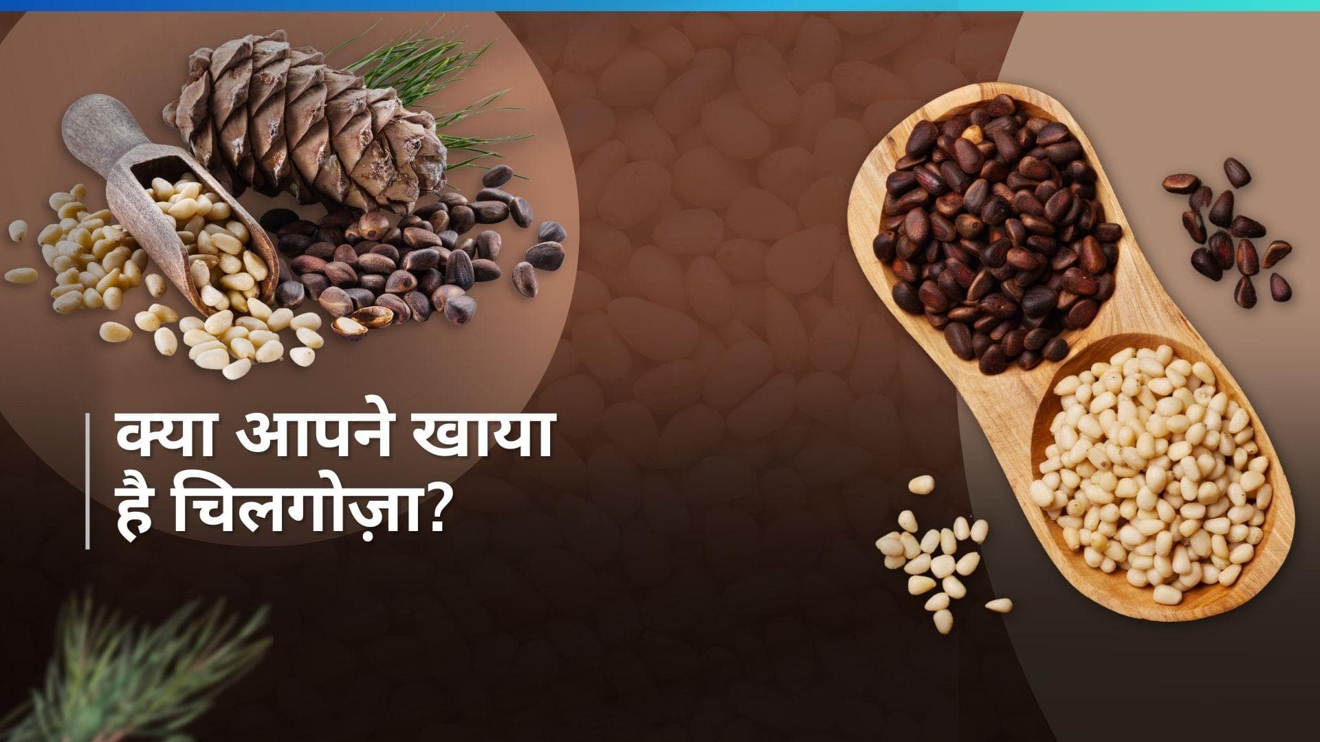 Chilgoza Benefits: क्या आपने ट्राई किया है चिलगोज़ा? हेल्थ के लिए है रामबाण