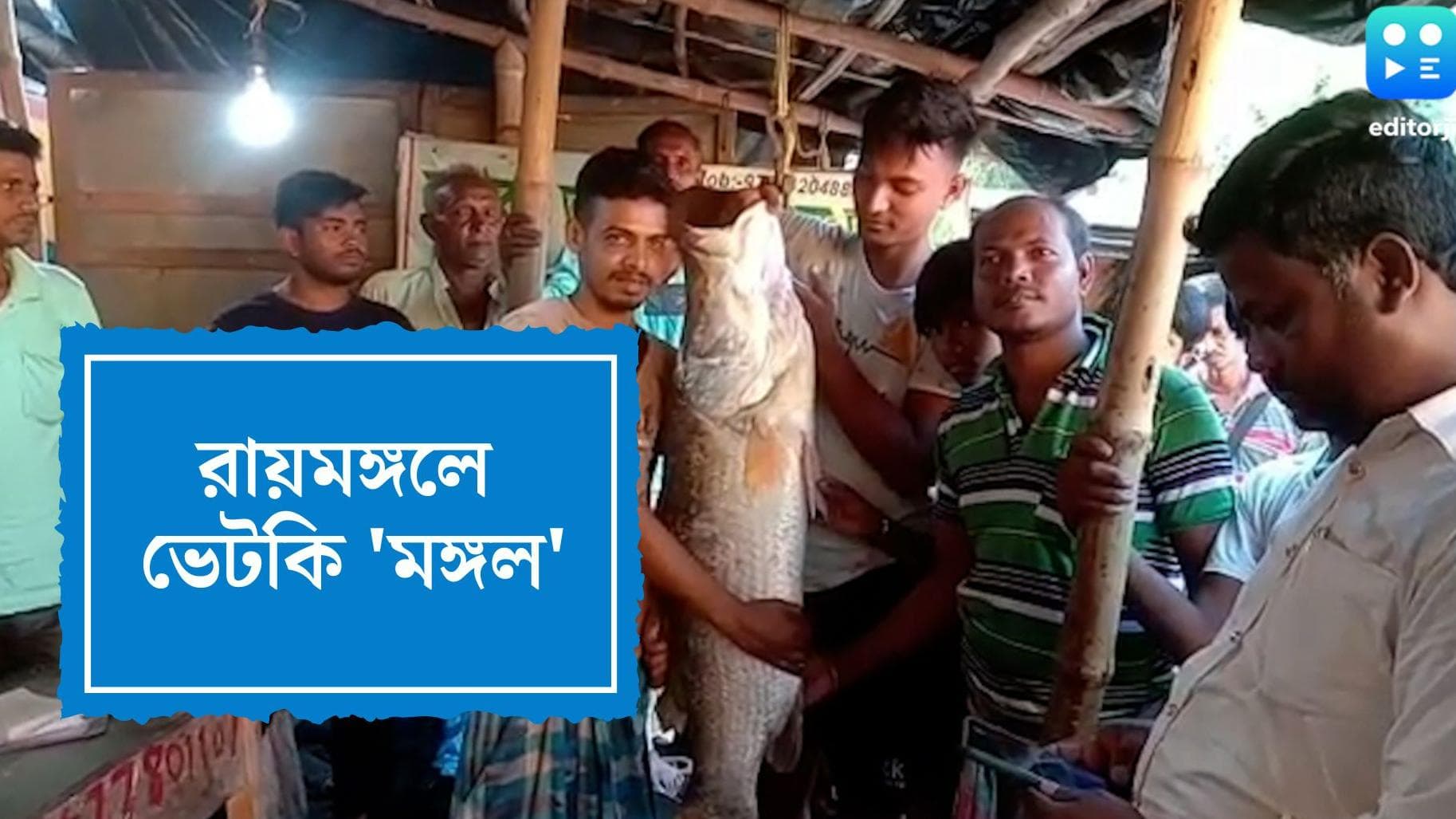 Sundarban News : সুন্দরবনে বাবা-ছেলে জালে ২০ কেজির ভেটকি, দাম উঠল ১৯ হাজার টাকা