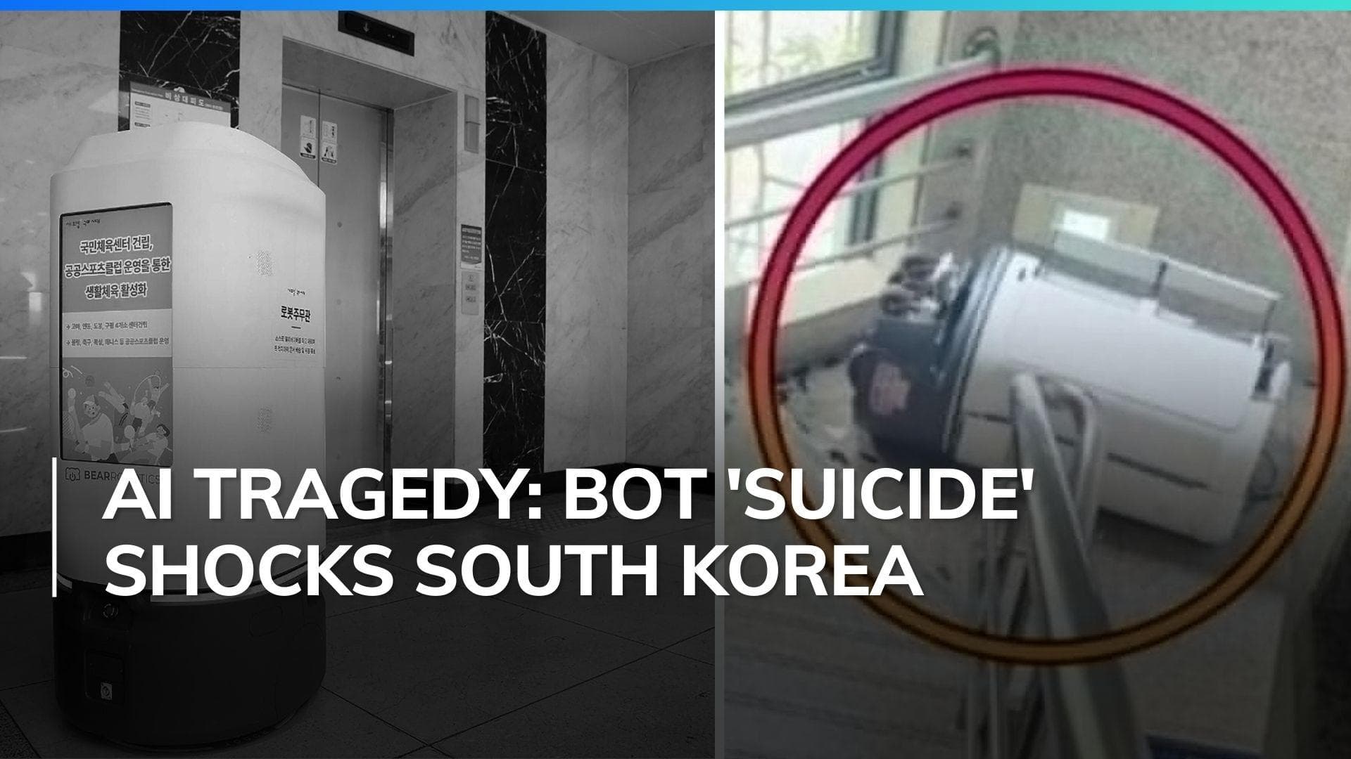 'Diligent govt officer' AI robot 'dies by suicide' in South Korea
