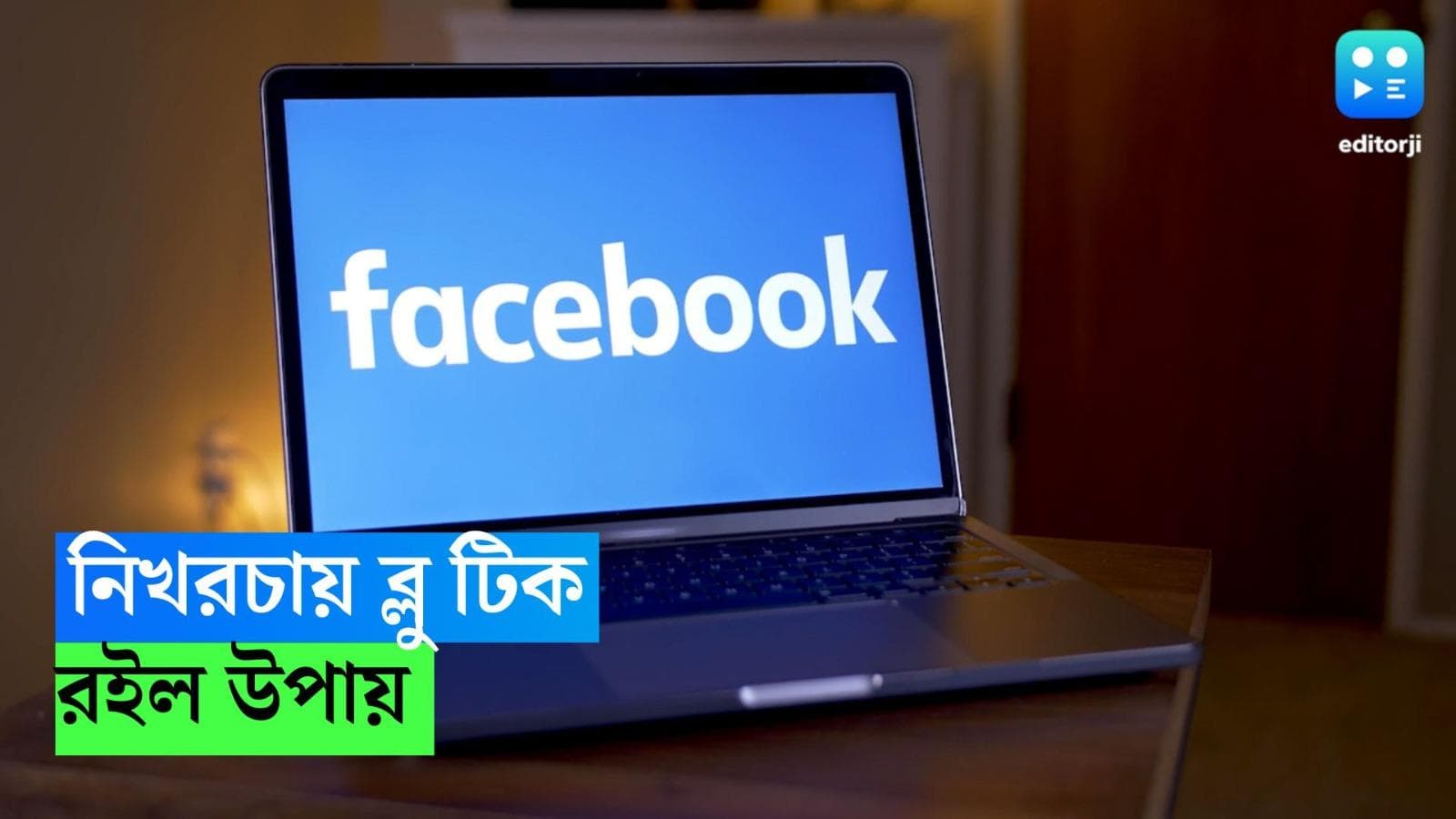 Facebook Blue Tick:  নিখরচায় আপনার ফেসবুকে জ্বলজ্বল করবে ব্লু টিক, জেনে নিন সহজ উপায় 