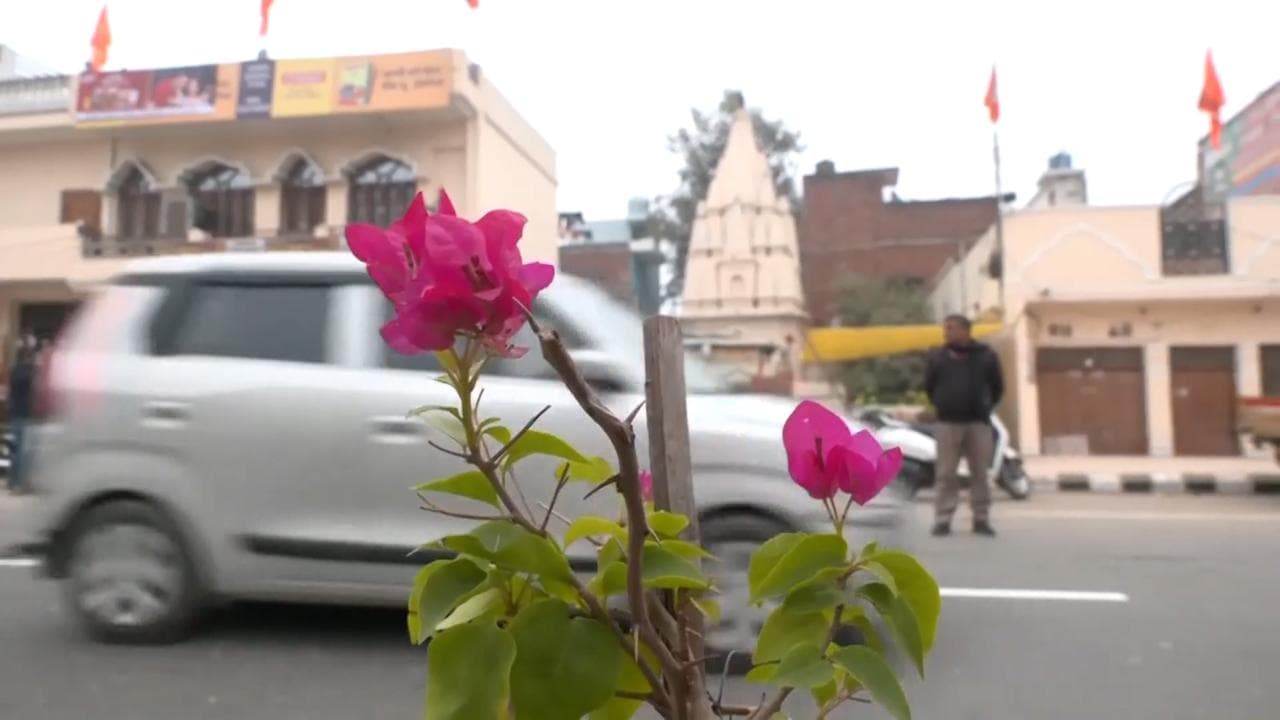 Ram temple inauguration: Ayodhya Development Authority plants Ramayana-era trees