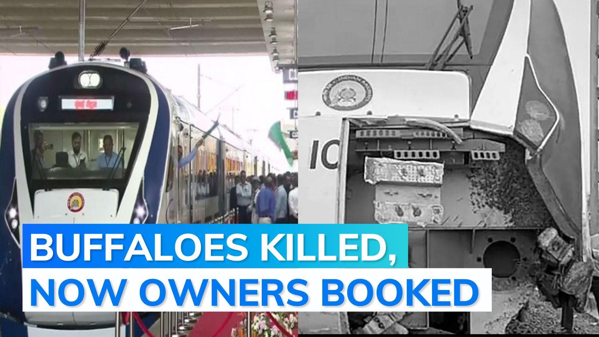 Unidentified owners of buffaloes hit by Vande Bharat express booked
