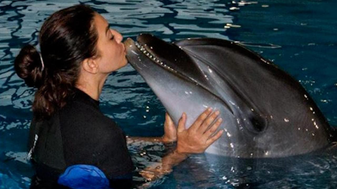 Viral: गौहर खान ने की डॉल्फिन के साथ मस्ती, तस्वीरों को जमकर लाइक कर रहे हैं फैंस