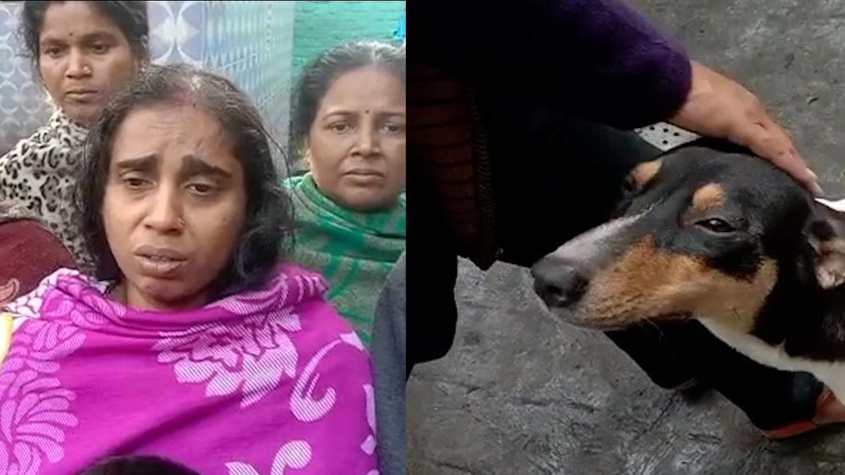 Kolkata: সোমবার বিধ্বংসী অগ্নিকান্ড সিঁথির বস্তিতে, একটি বাড়ি সহ পুড়ে ছাই সাত সারমেয় সন্তান