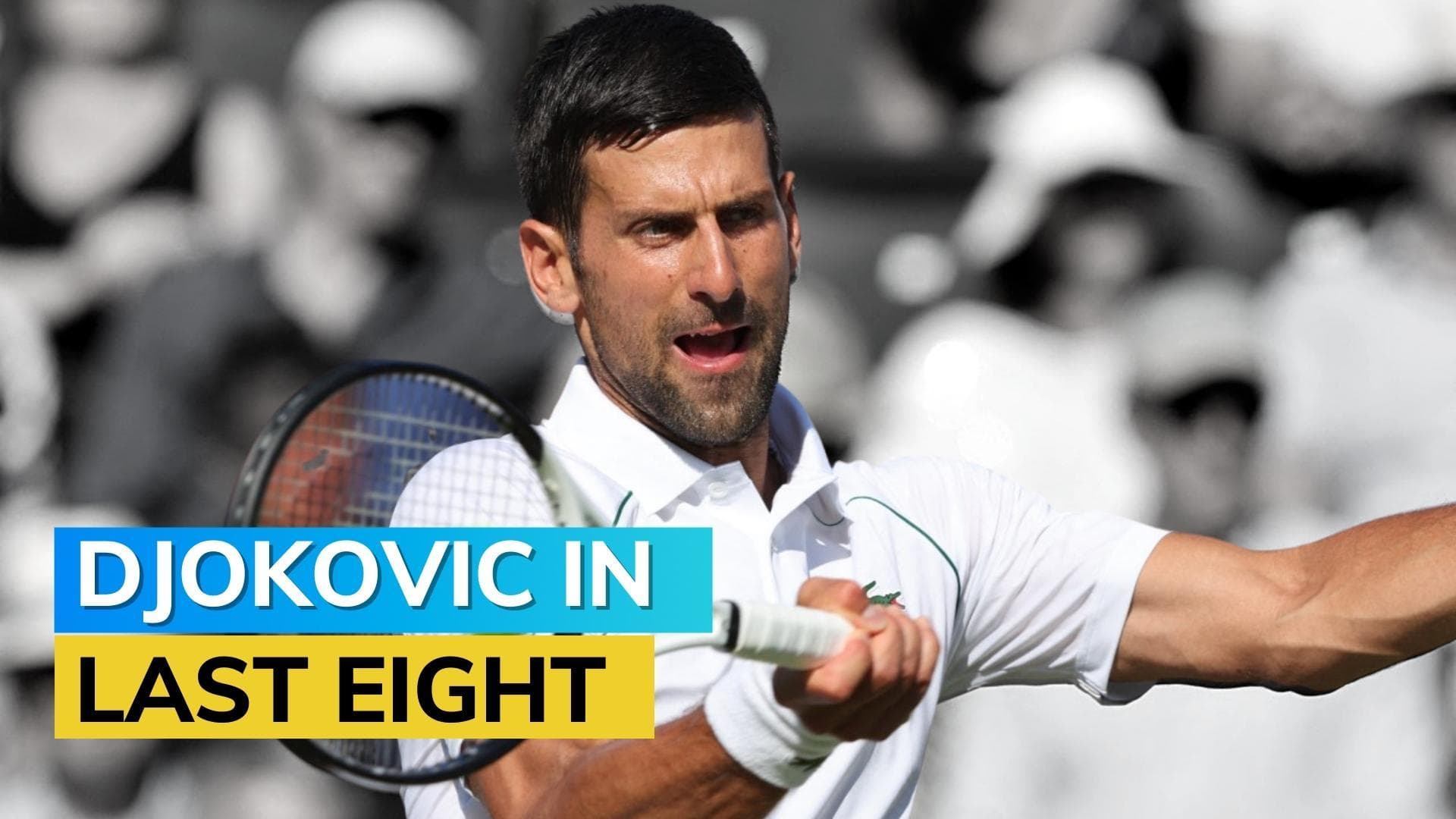 Wimbledon 2022: Novak Djokovic beats wildcard Tim van Rijthoven to reach quarter-finals
