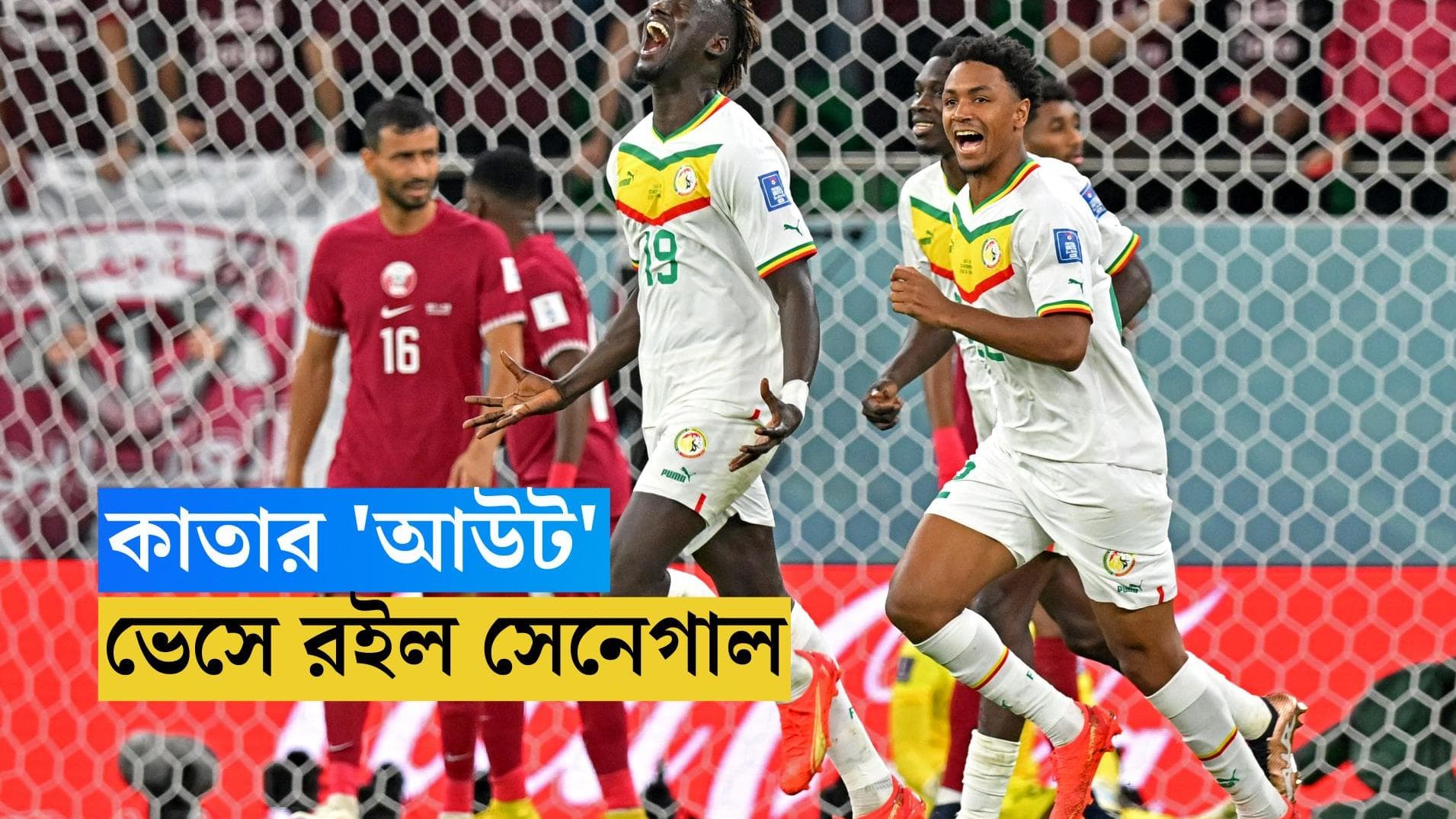 Senegal beats Qatar: দাপুটে জয় সেনেগালের, ২ ম্যাচ হেরে কার্যত বিদায় নিশ্চিত আয়োজক দেশ কাতারের