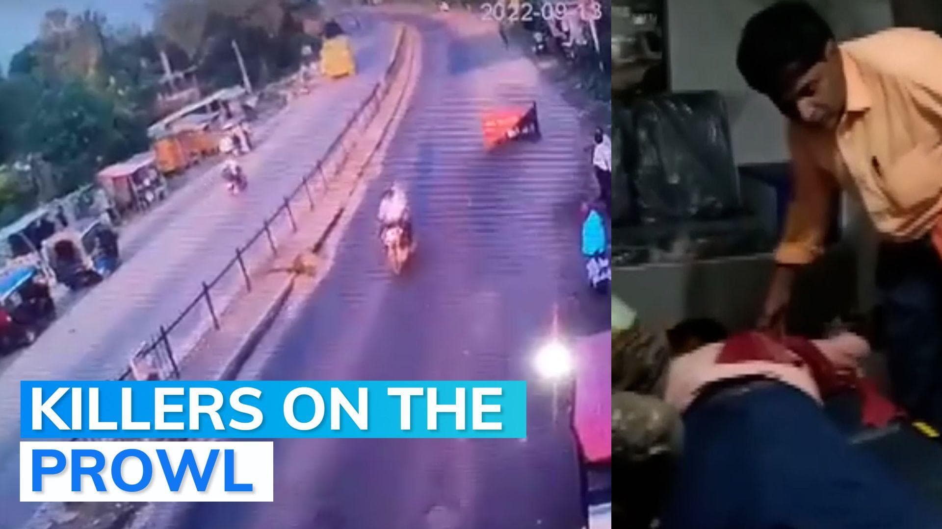 Bihar: 11 wounded, 1 killed as bike-borne gunmen go on random shooting in Begusarai