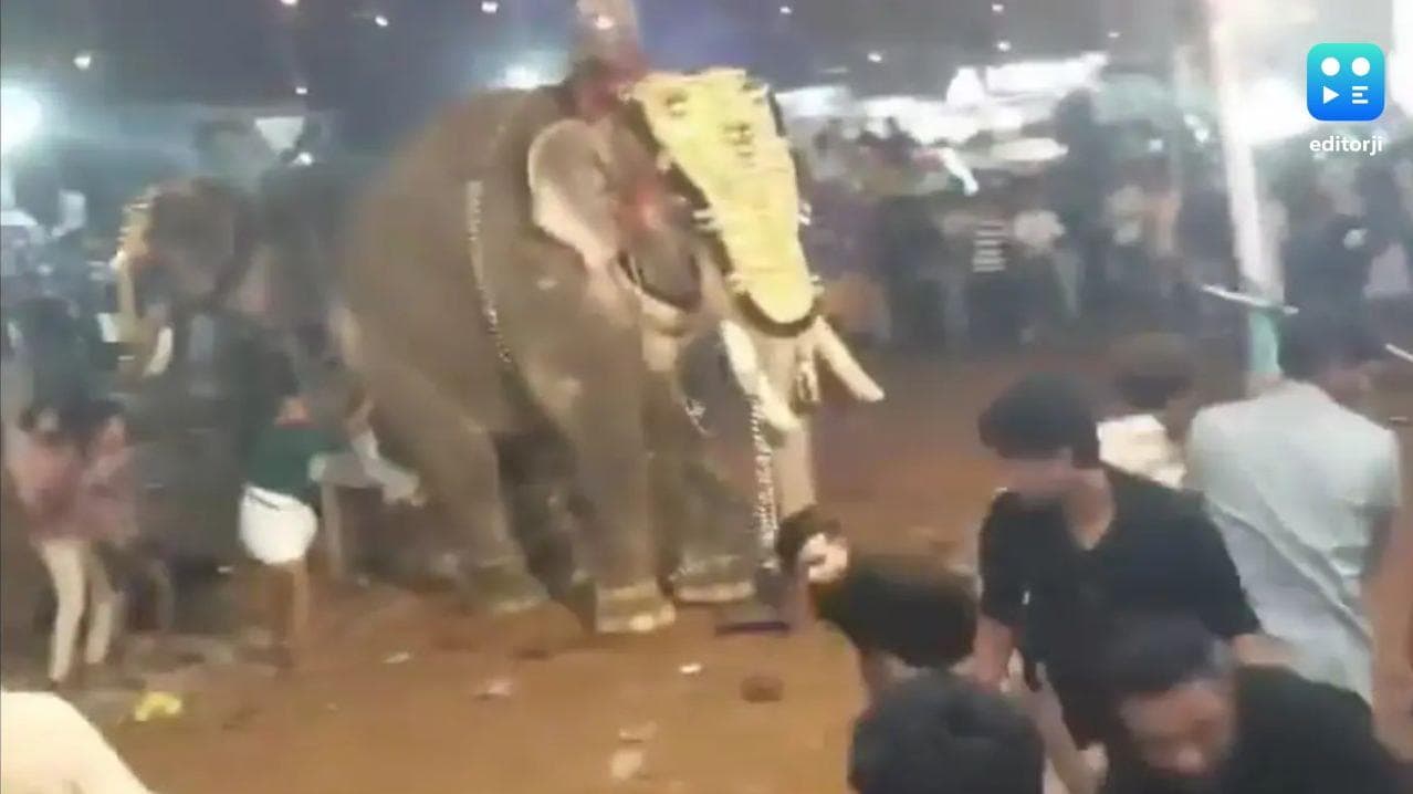 WATCH: Rampaging Elephant tosses man At Kerala festival