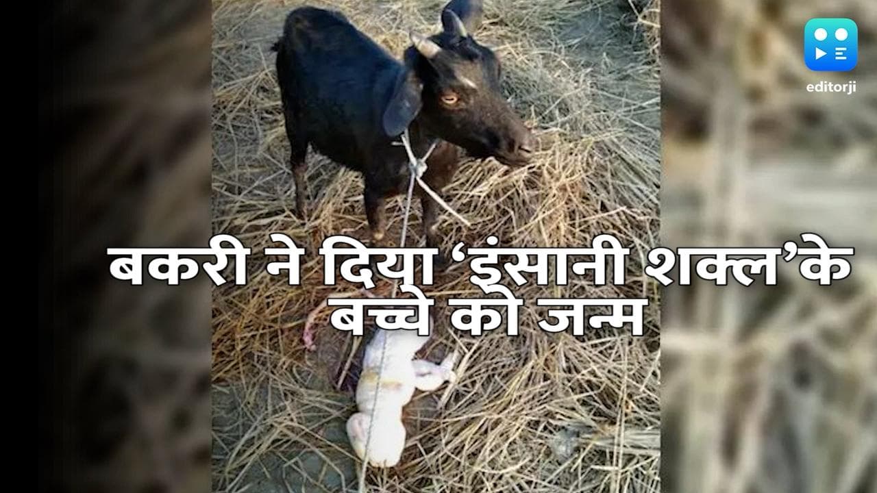 अजीबोगरीब: असम में बकरी ने दिया ‘इंसानी शक्ल’ के बच्चे को जन्म !