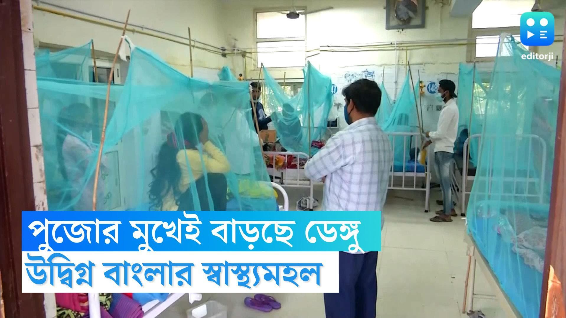 Dengue cases in West Bengal: পুজোর আগে ভয়াবহ হচ্ছে ডেঙ্গি পরিস্থিতি, সবচেয়ে বেশি আক্রান্ত কোন জেলায়?