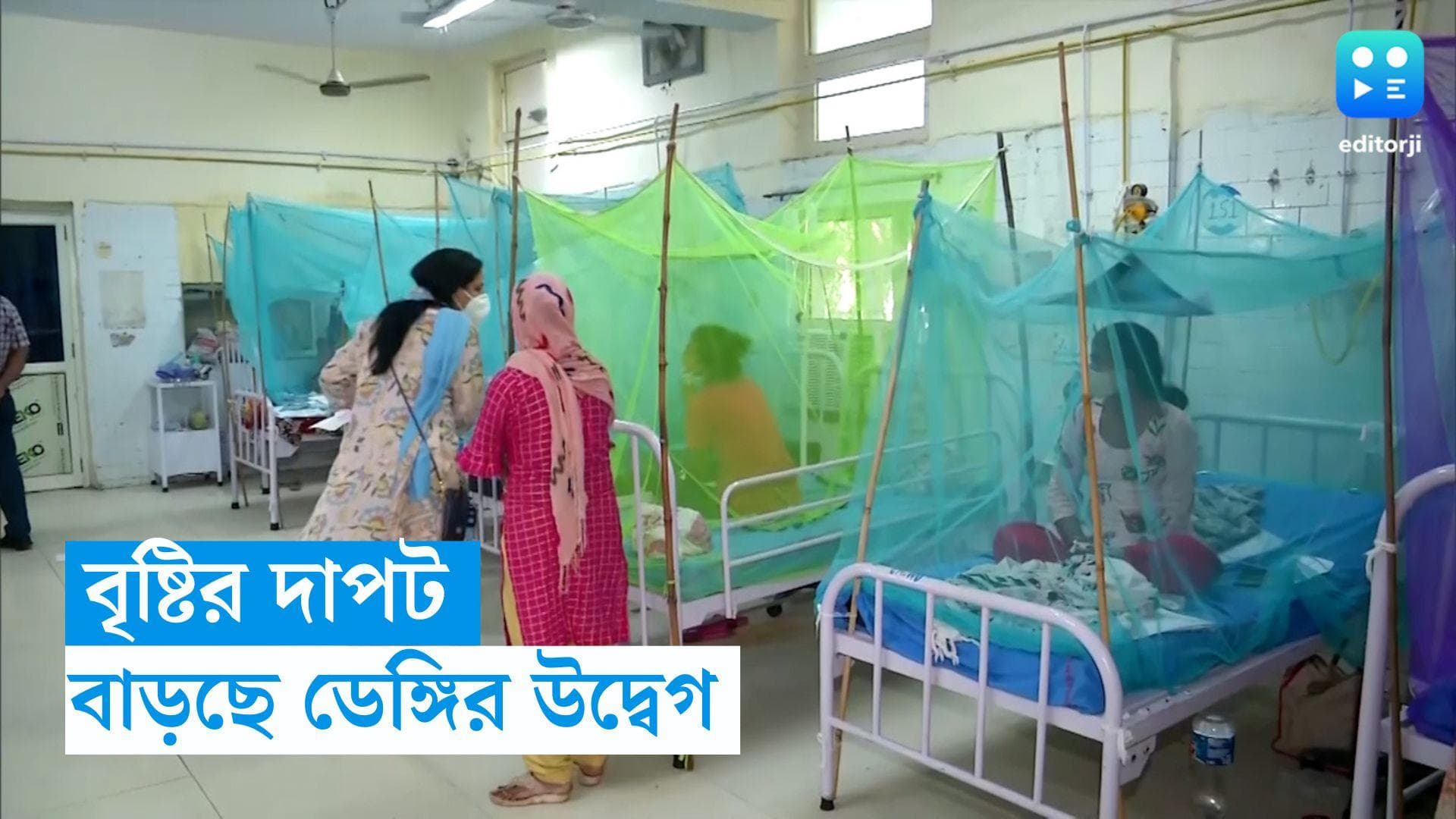 Dengue West Bengal: নিম্নচাপের দাপটে বাড়ছে ডেঙ্গির প্রকোপ, তিনটি জেলা নিয়ে দুশ্চিন্তায় প্রশাসন