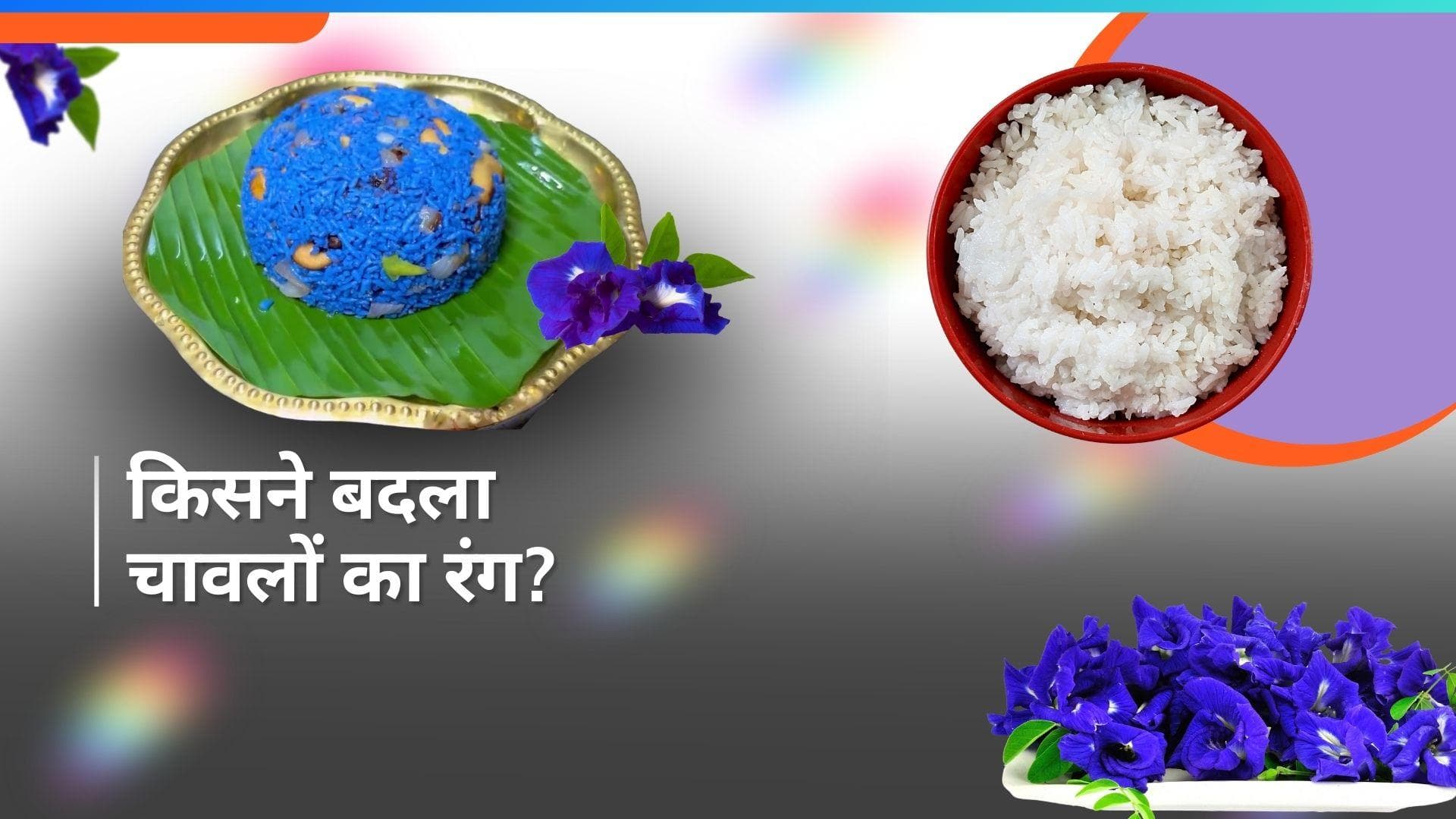 Blue-Coloured Ghee Rice: नीले रंग के चावल खाना पसंद करेंगे आप? देखकर हैरान हुए लोग