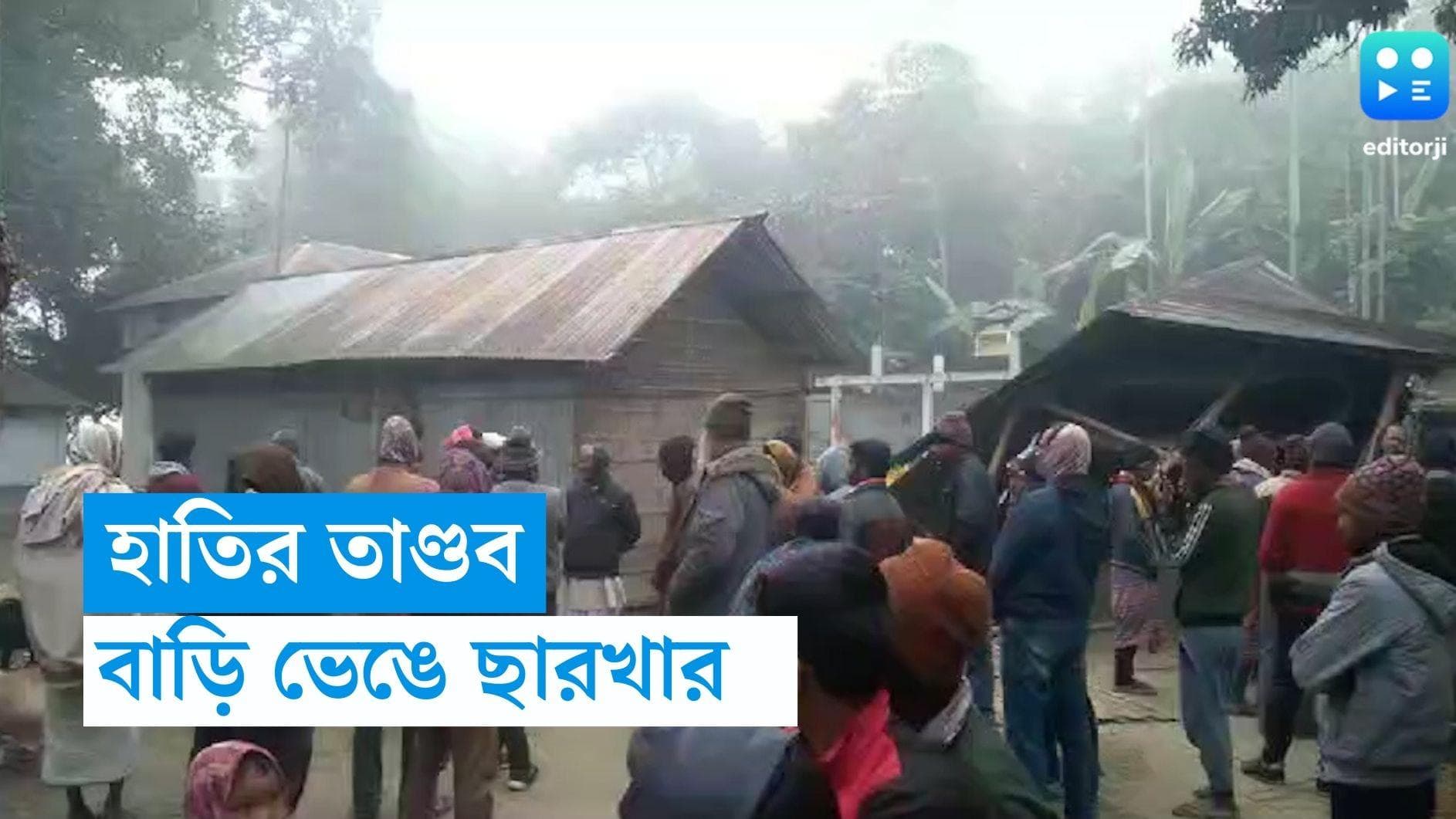 Jalpaiguri News: নষ্ট ফসল, ভেঙেছে ১০ টি বাড়ি , হাতির তাণ্ডবে হয়রান ধূপগুড়ির গধেয়ারকুঠী গ্রামবাসীরা 