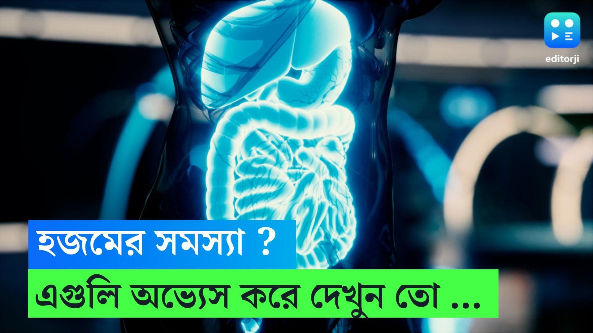 Digestive Problem: রাতে ভালমন্দ খেলেই সকালে ঢেঁকুর? হজমের সমস্যা মেটাতে এই জিনিসগুলি অভ্যাস করুন 