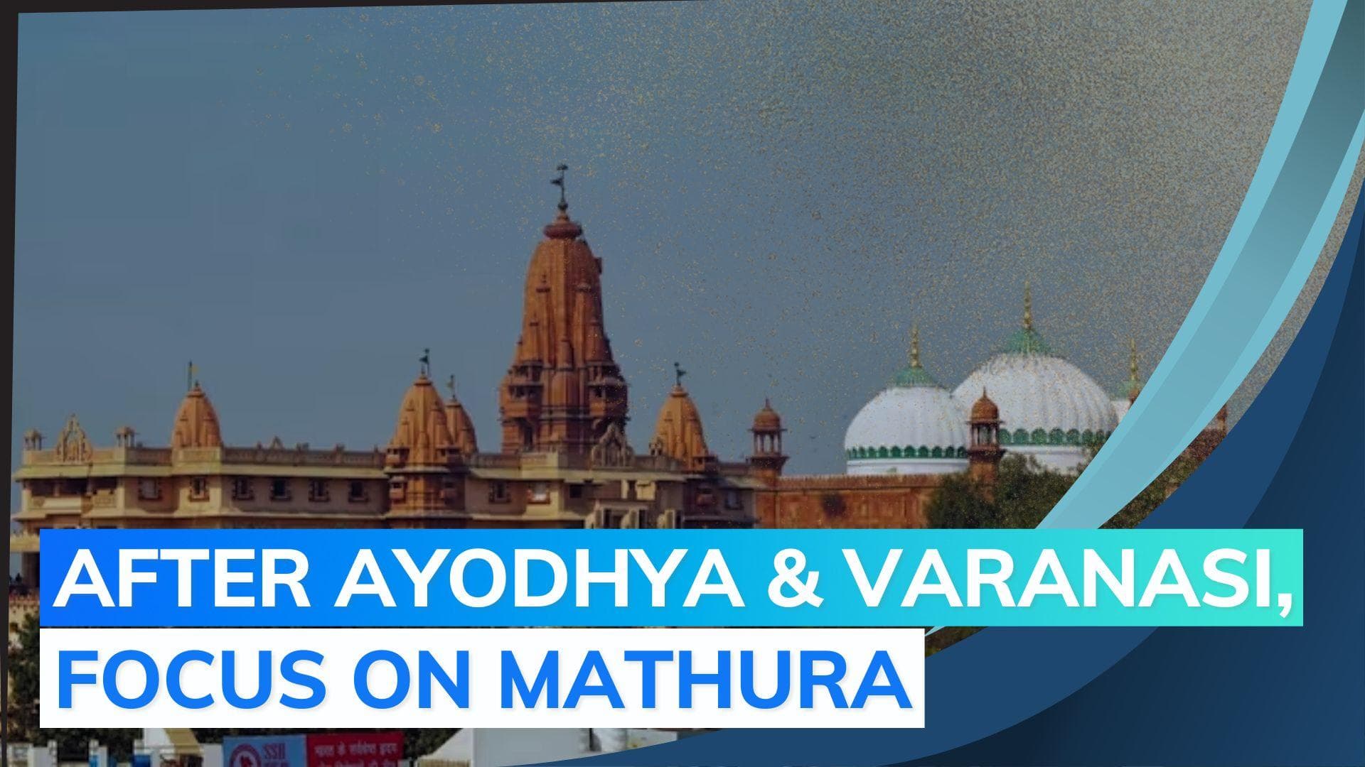 Mathura's Krishna Janmabhoomi land dispute: HC allows survey