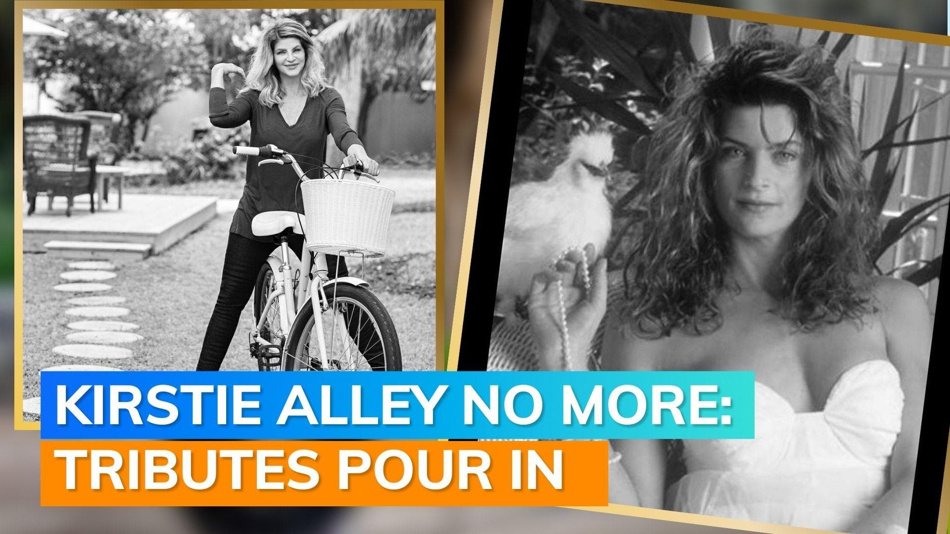 Kirstie Alley, Emmy-winning ‘Cheers star’, dies at 71 after short battle with cancer