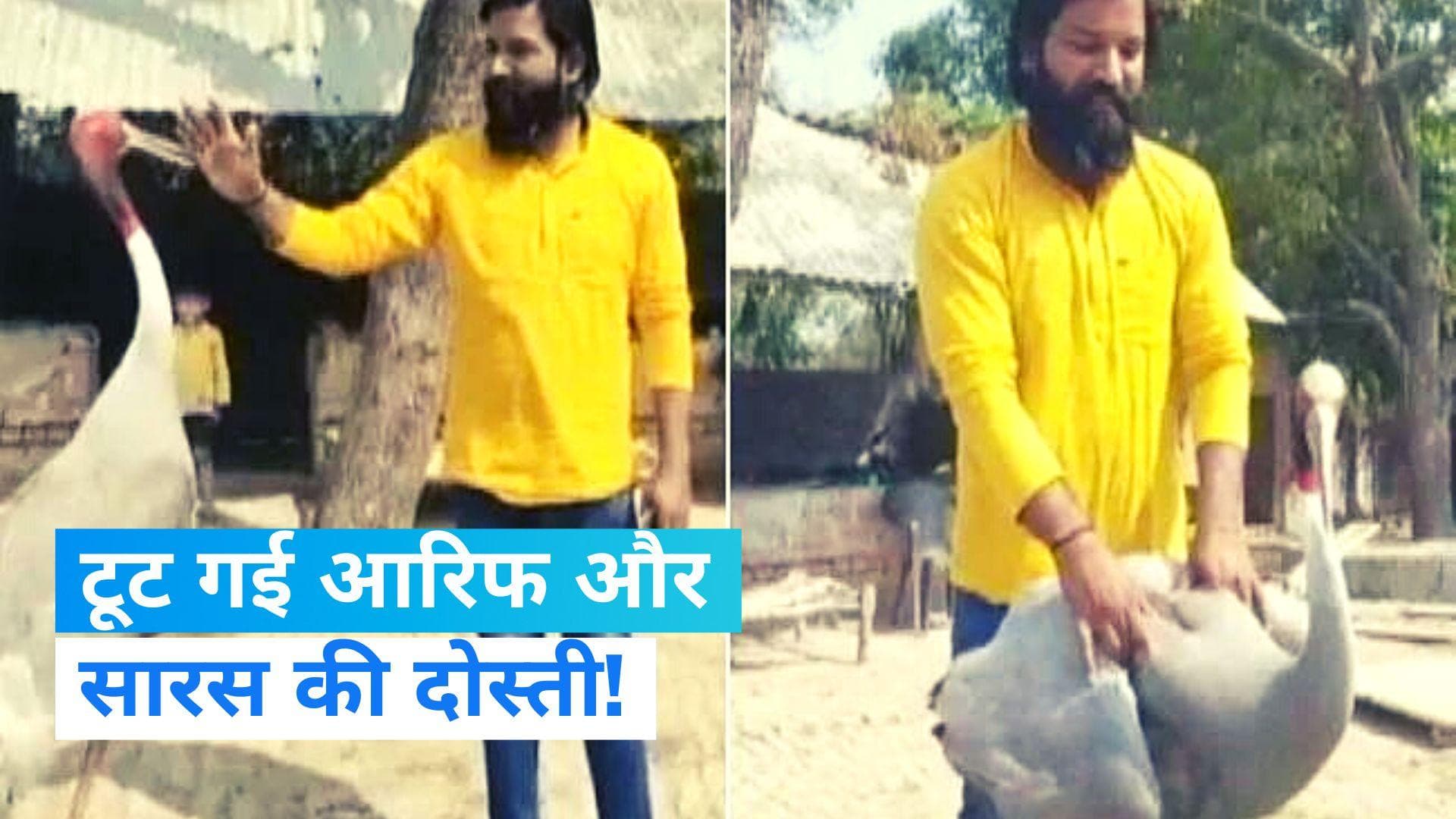 Amethi: आरिफ से दूर गया साये की तरह साथ रहने वाला सारस...! वन विभाग ने किया अलग