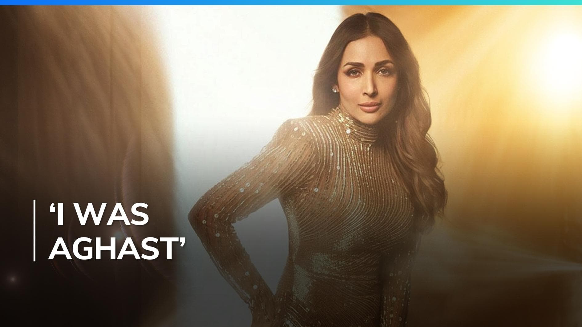 Malaika Arora says a person wrote she was using 'fat alimony' to buy expensive dresses  