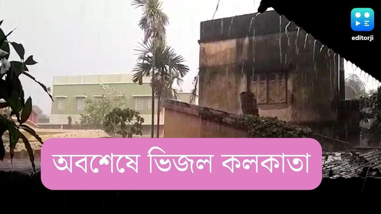 Rain in Kolkata: দু'মাস পর স্বস্তির বৃষ্টি শহর কলকাতায়, কৃষ্ণনগরে কালবৈশাখীর বলি ১