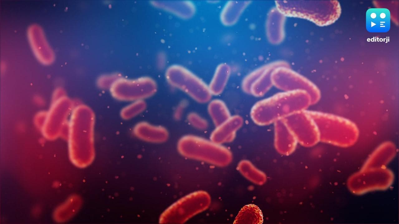 Kerala: कोरोना के बाद नोरोवायरस का खतरा, वायनाड में मिले 13 केस...जानें लक्षण और बचाव के तरीके