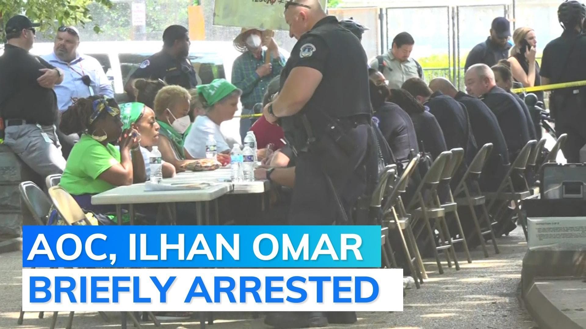 17 US lawmakers arrested for protesting against abortion ban outside Supreme Court