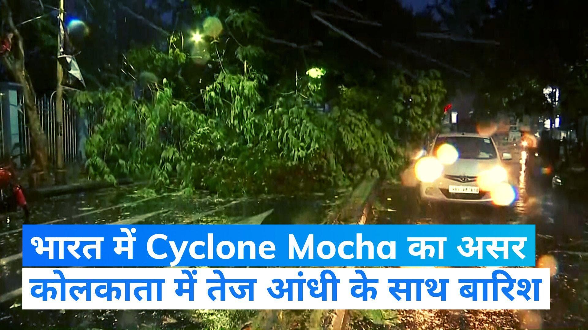 Cyclone Mocha: चक्रवात 'मोचा' के कारण कोलकाता में भारी बारिश, सड़कों पर पेड़ टूटकर गिरे 