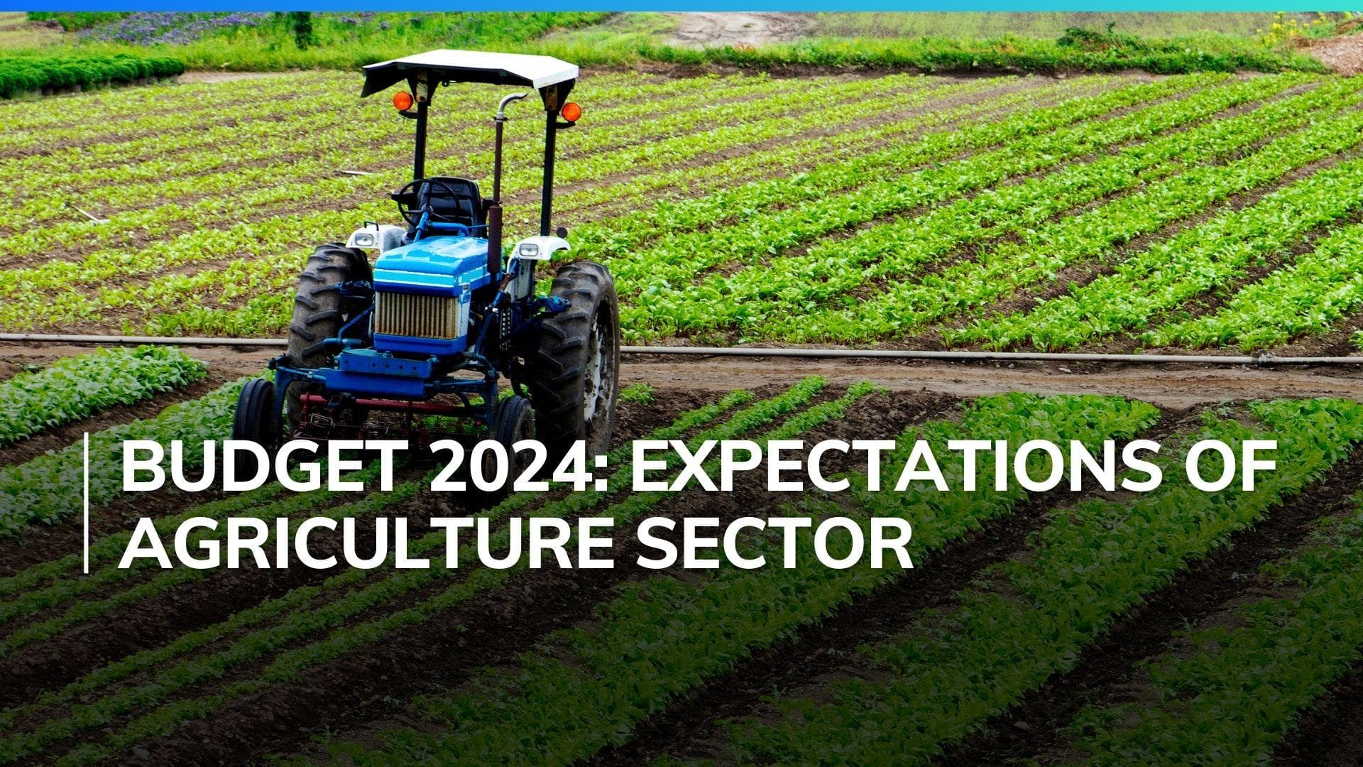 Budget 2024: Here are the top 5 expectations of agricultural sector