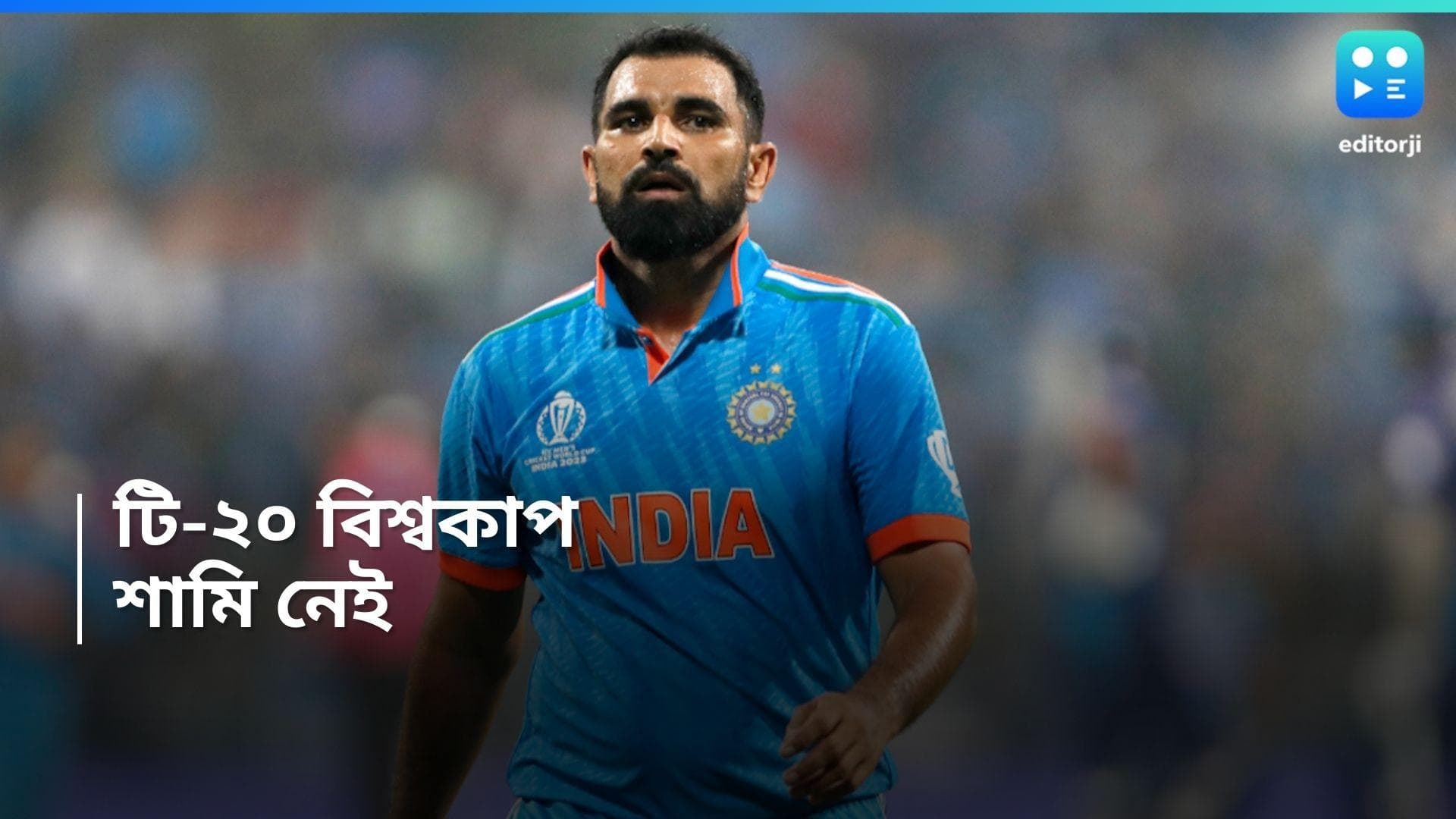 Mohammed Shami : টি-টোয়েন্টি বিশ্বকাপ থেকে কার্যত ছিটকে গেলেন মহম্মদ শামি, ইঙ্গিত বোর্ড সচিবের