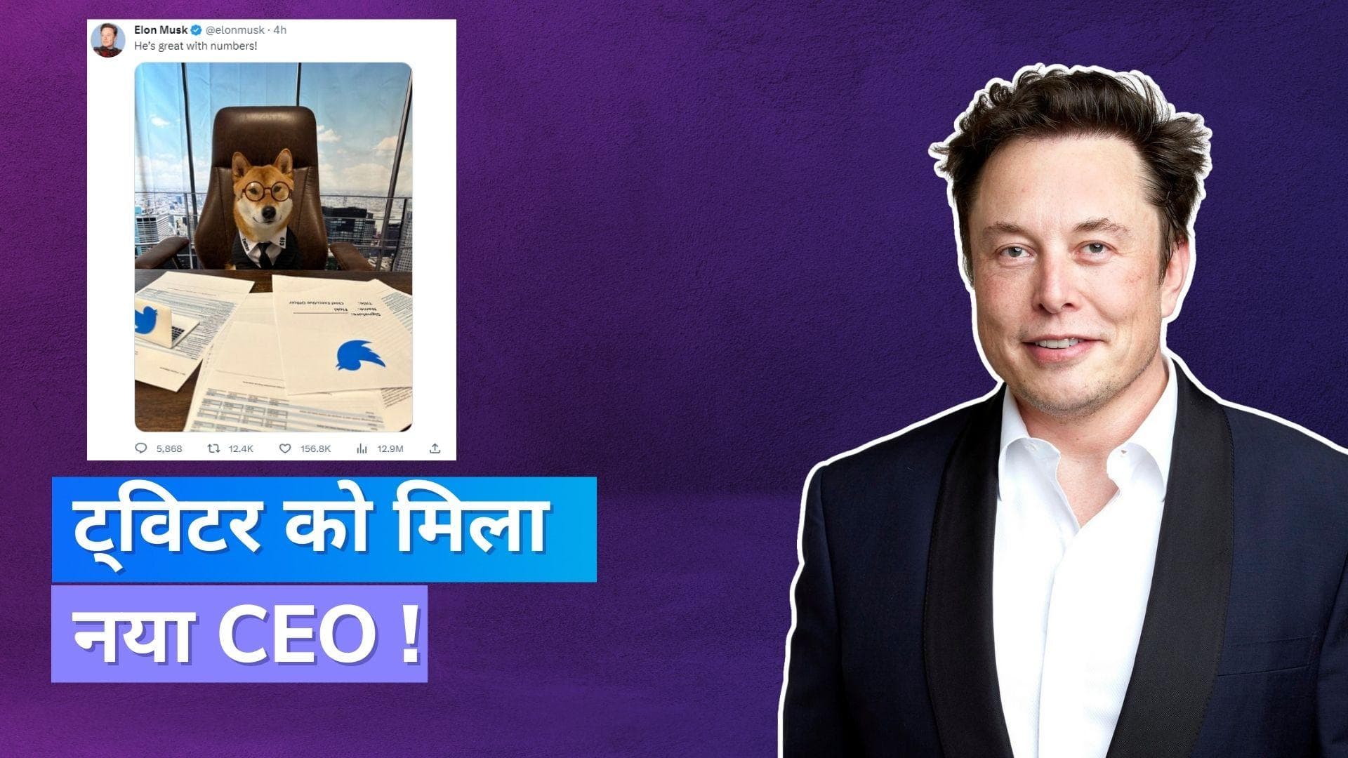 Twitter New CEO: Elon Musk ने पालतू डॉग फ्लोकी को बनाया नया सीईओ, कहा दूसरों से बेहतर है !