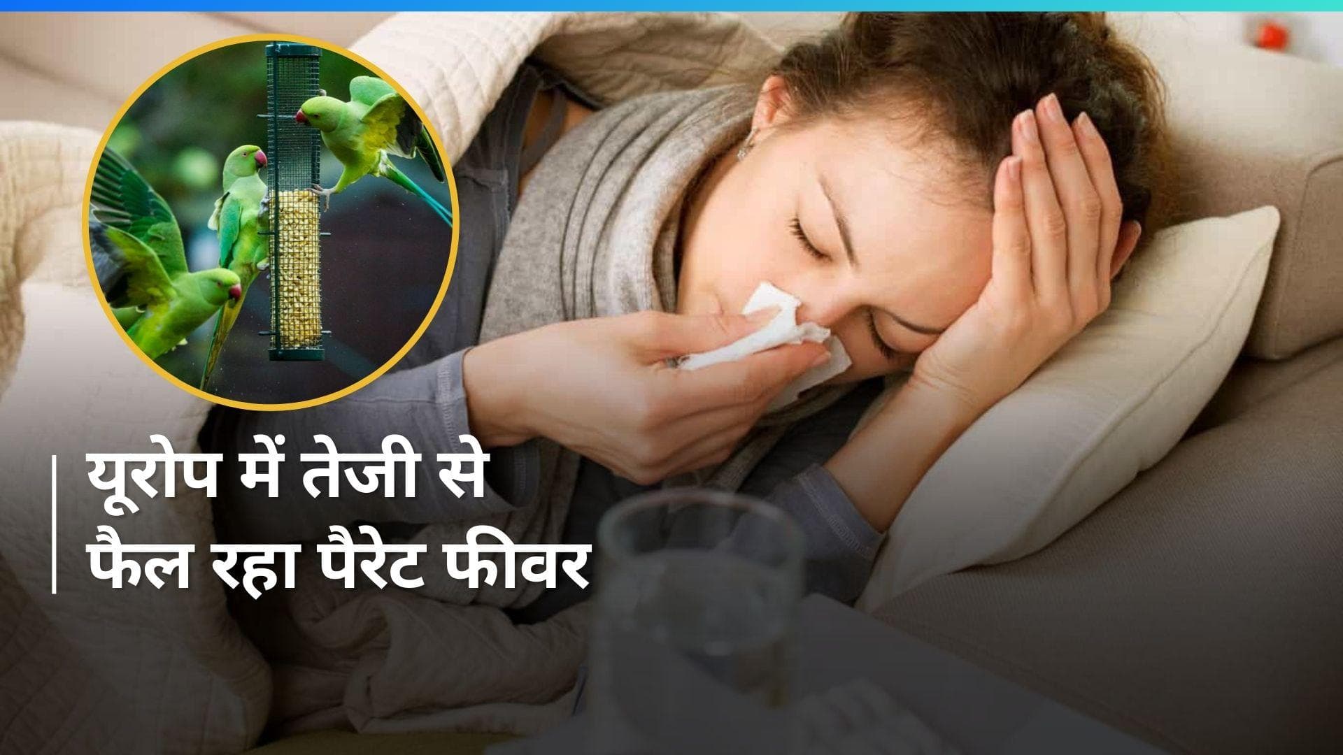 Parrot Fever: पैरेट फीवर से सावधान! यूरोप में संक्रमित होने से गई 5 लोगों की जान, जानें- कितना खतरनाक